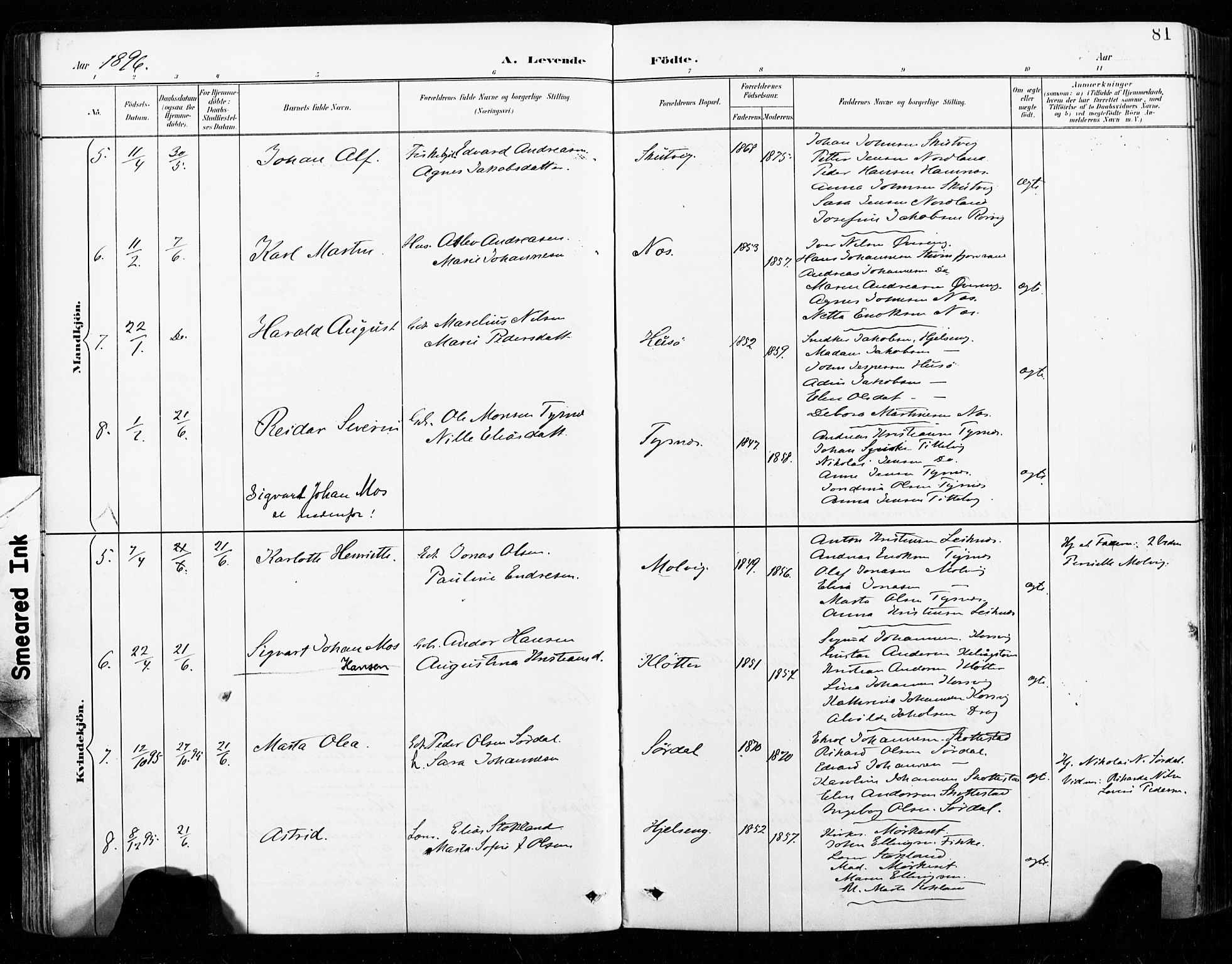 Ministerialprotokoller, klokkerbøker og fødselsregistre - Nordland, SAT/A-1459/859/L0847: Ministerialbok nr. 859A07, 1890-1899, s. 81
