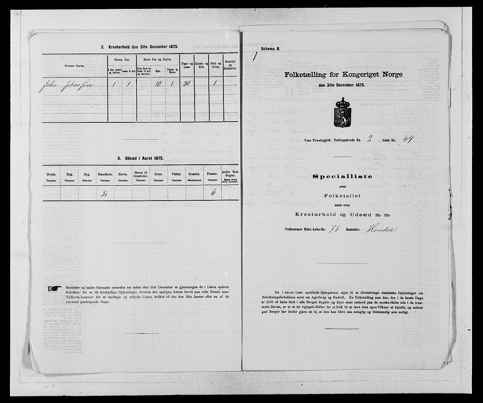 SAB, Folketelling 1875 for 1235P Voss prestegjeld, 1875, s. 269