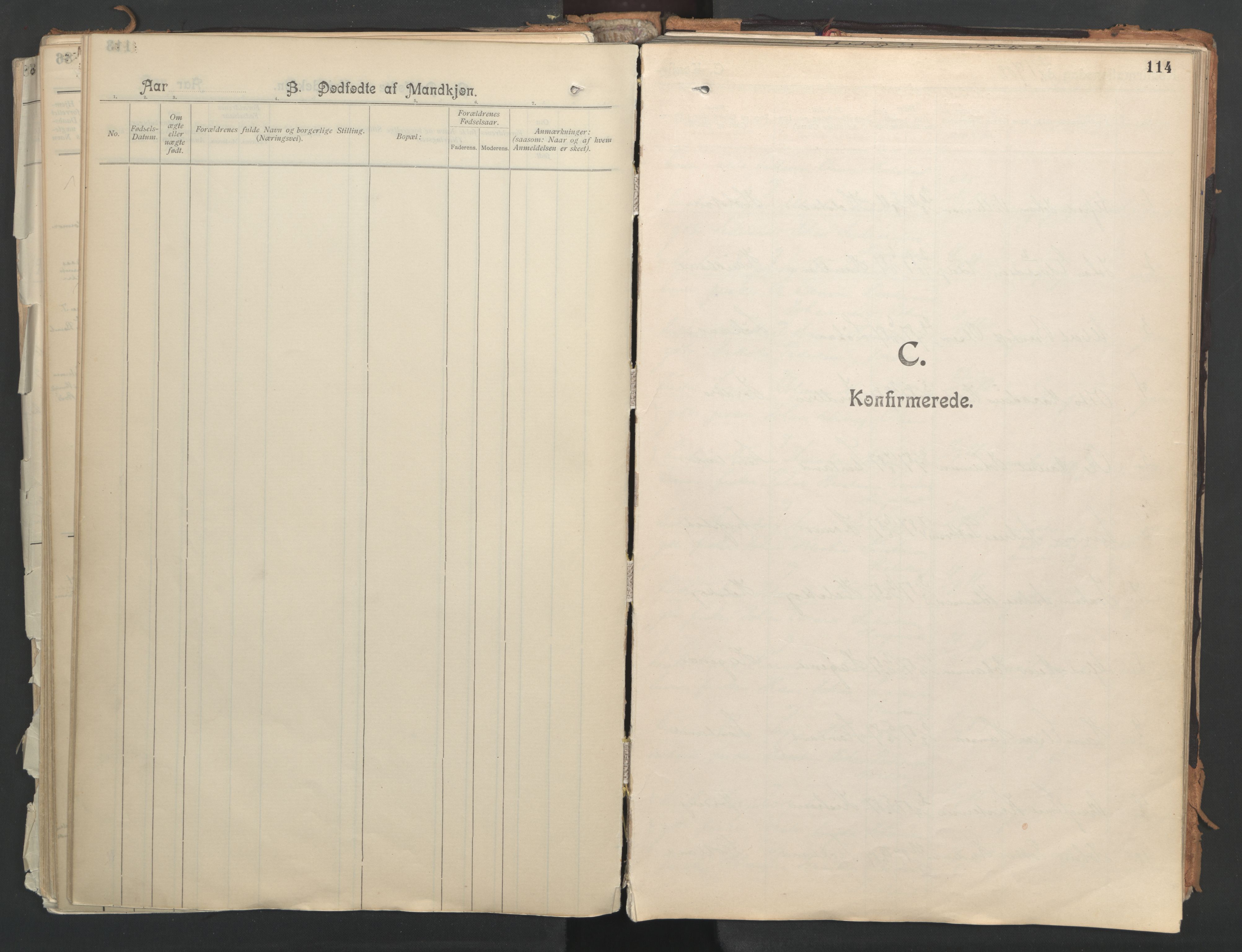 Ministerialprotokoller, klokkerbøker og fødselsregistre - Nordland, AV/SAT-A-1459/851/L0724: Ministerialbok nr. 851A01, 1901-1922, s. 114