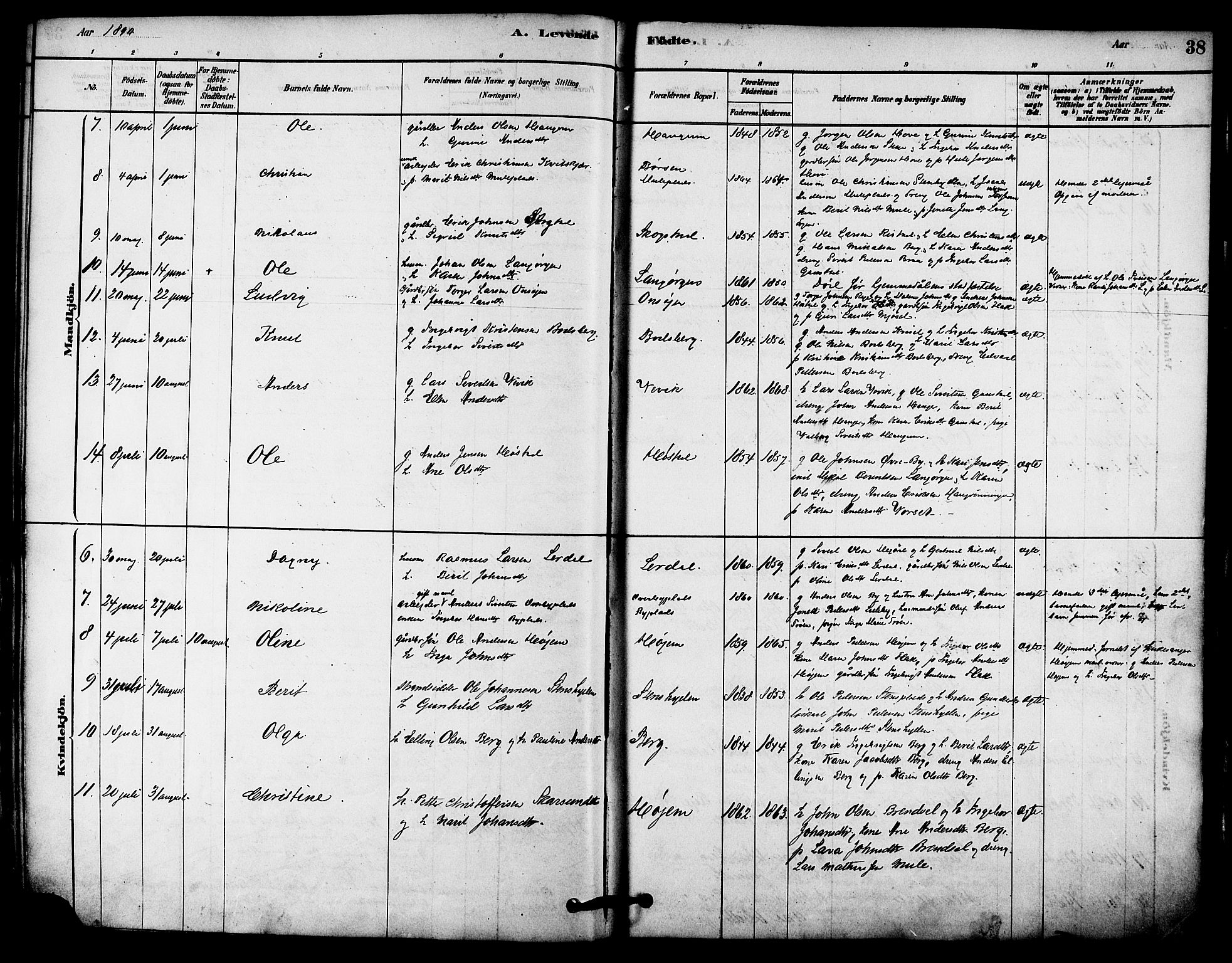 Ministerialprotokoller, klokkerbøker og fødselsregistre - Sør-Trøndelag, SAT/A-1456/612/L0378: Ministerialbok nr. 612A10, 1878-1897, s. 38