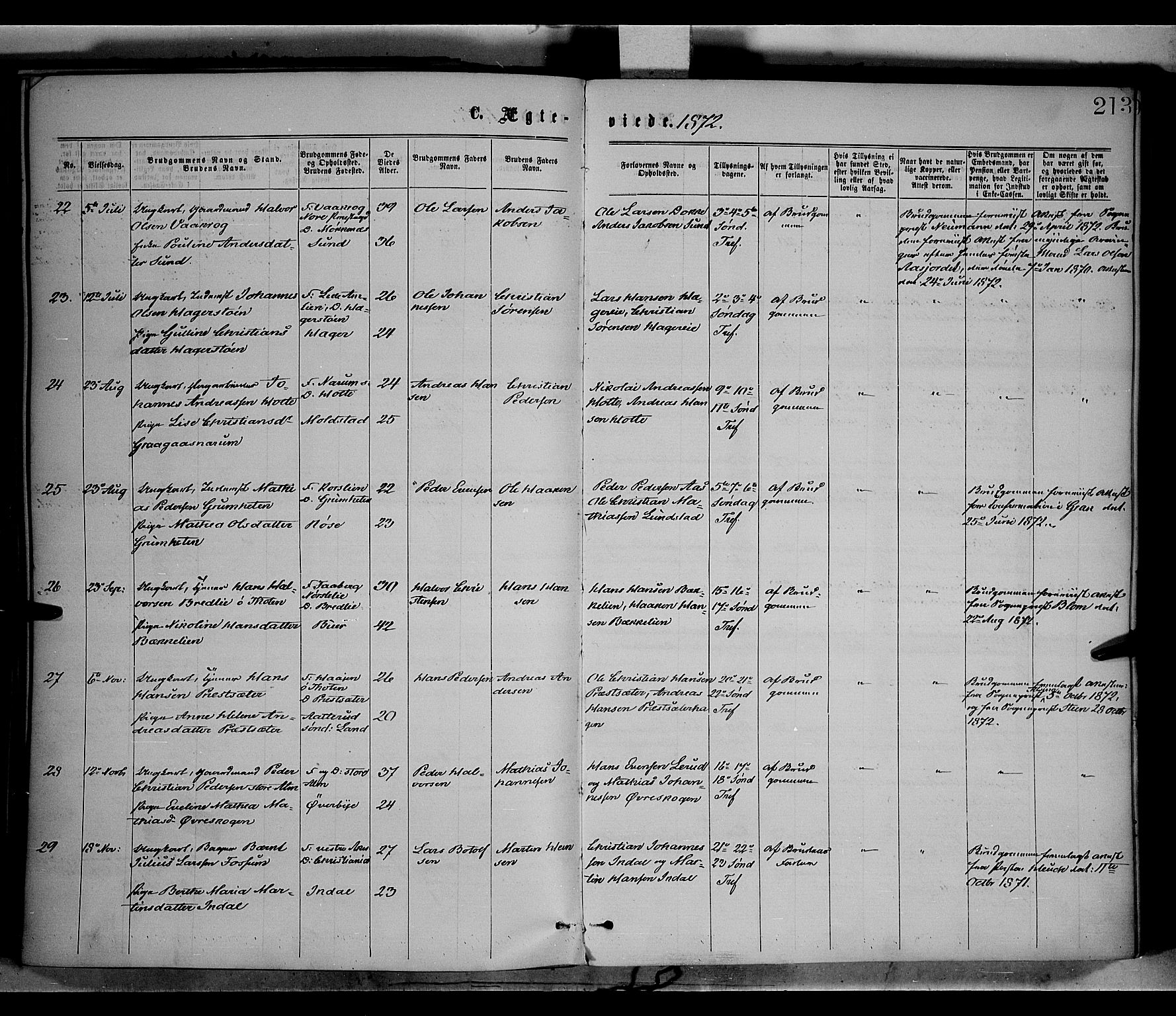 Vestre Toten prestekontor, SAH/PREST-108/H/Ha/Haa/L0008: Ministerialbok nr. 8, 1870-1877, s. 213