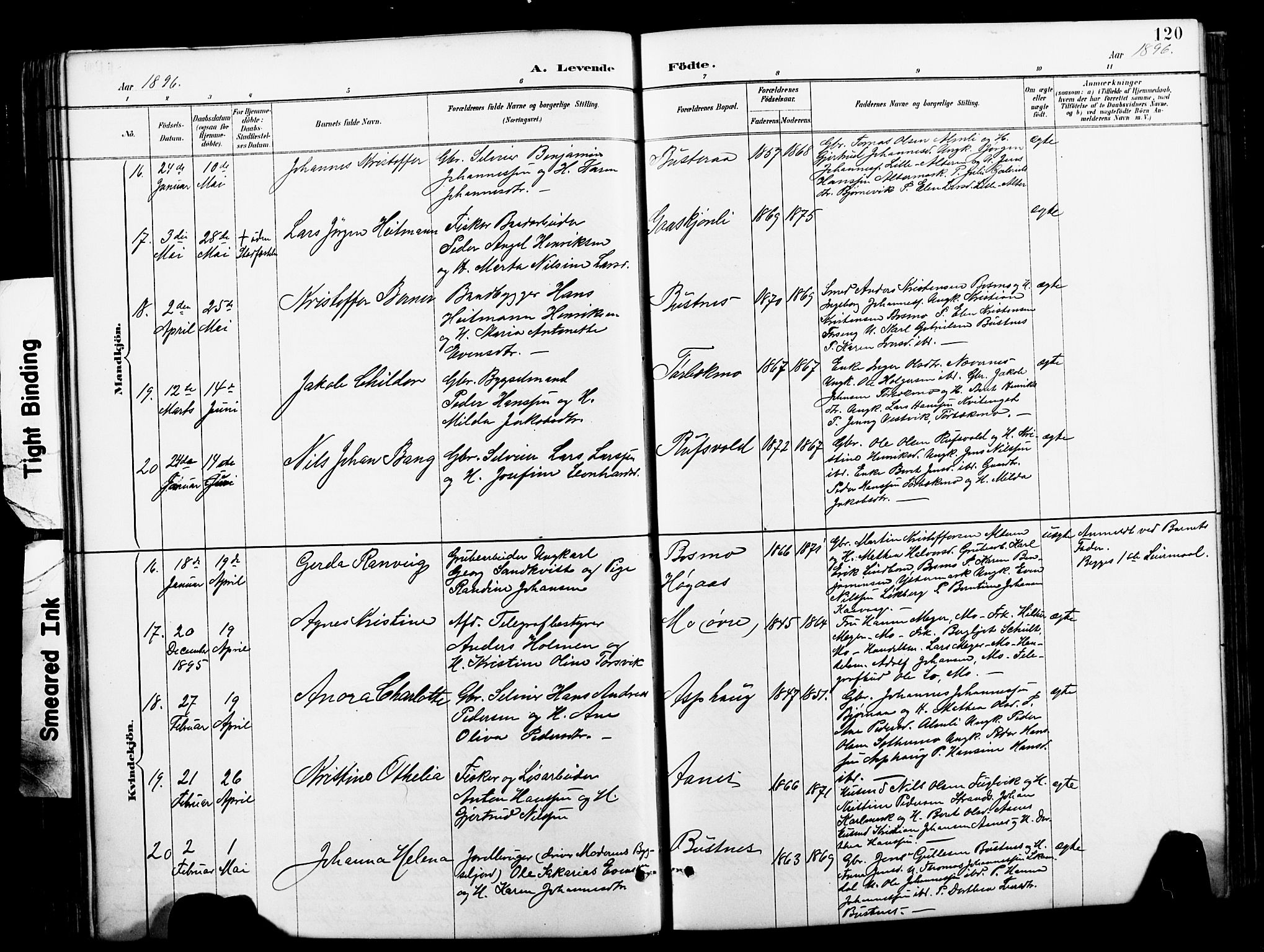 Ministerialprotokoller, klokkerbøker og fødselsregistre - Nordland, SAT/A-1459/827/L0421: Klokkerbok nr. 827C10, 1887-1906, s. 120