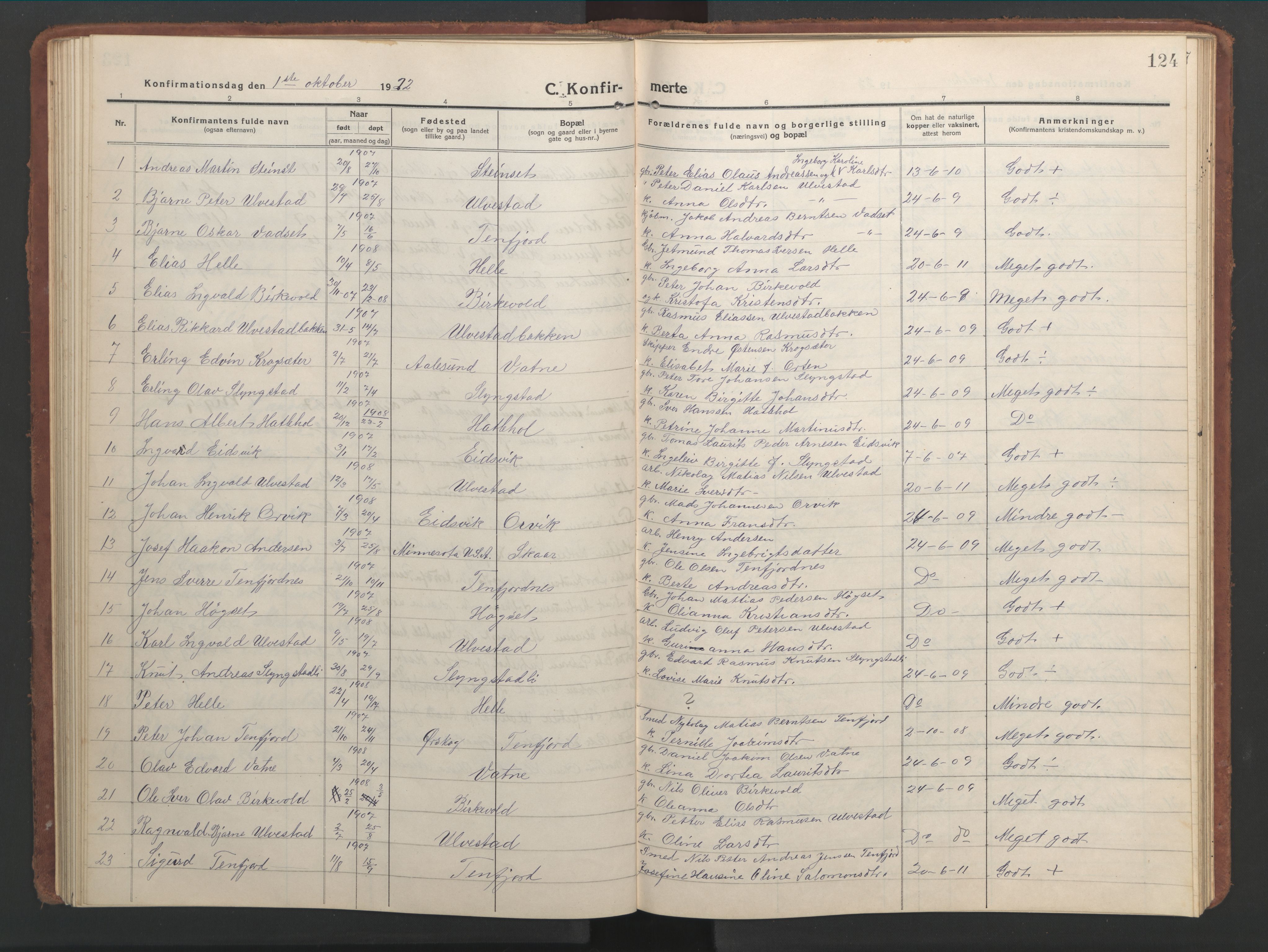 Ministerialprotokoller, klokkerbøker og fødselsregistre - Møre og Romsdal, AV/SAT-A-1454/525/L0378: Klokkerbok nr. 525C04, 1915-1947, s. 124