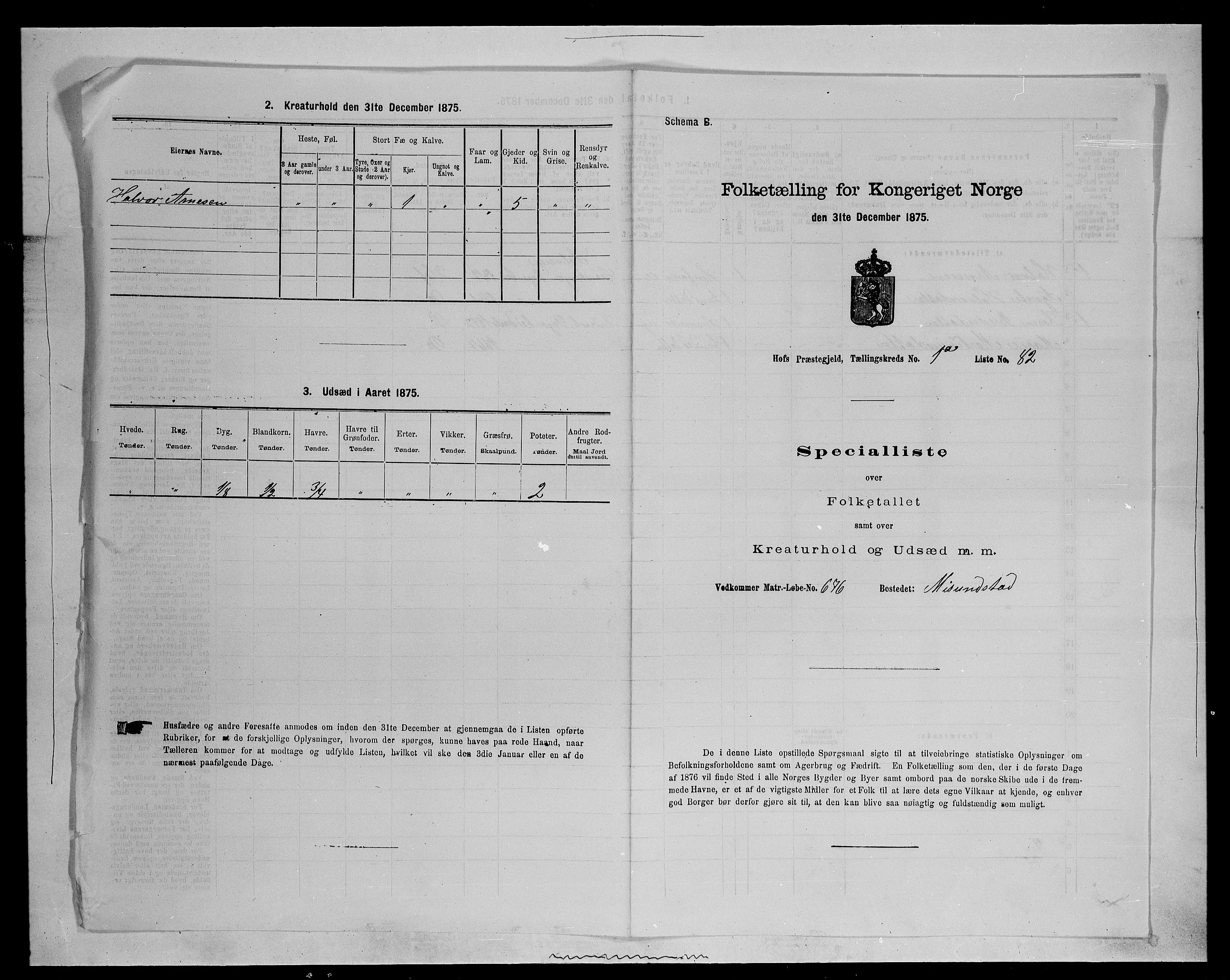 SAH, Folketelling 1875 for 0424P Hof prestegjeld, 1875, s. 172
