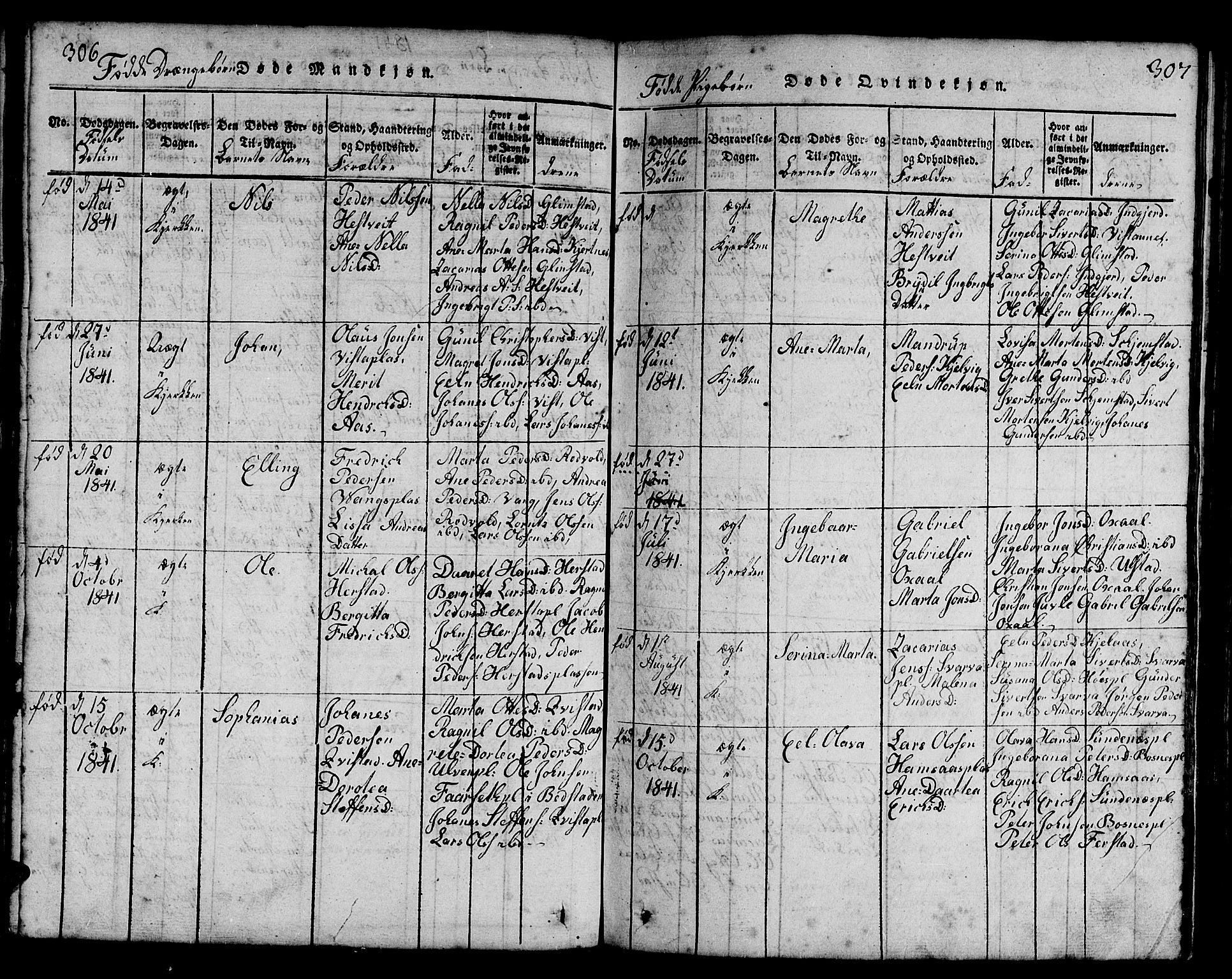 Ministerialprotokoller, klokkerbøker og fødselsregistre - Nord-Trøndelag, AV/SAT-A-1458/730/L0298: Klokkerbok nr. 730C01, 1816-1849, s. 306-307