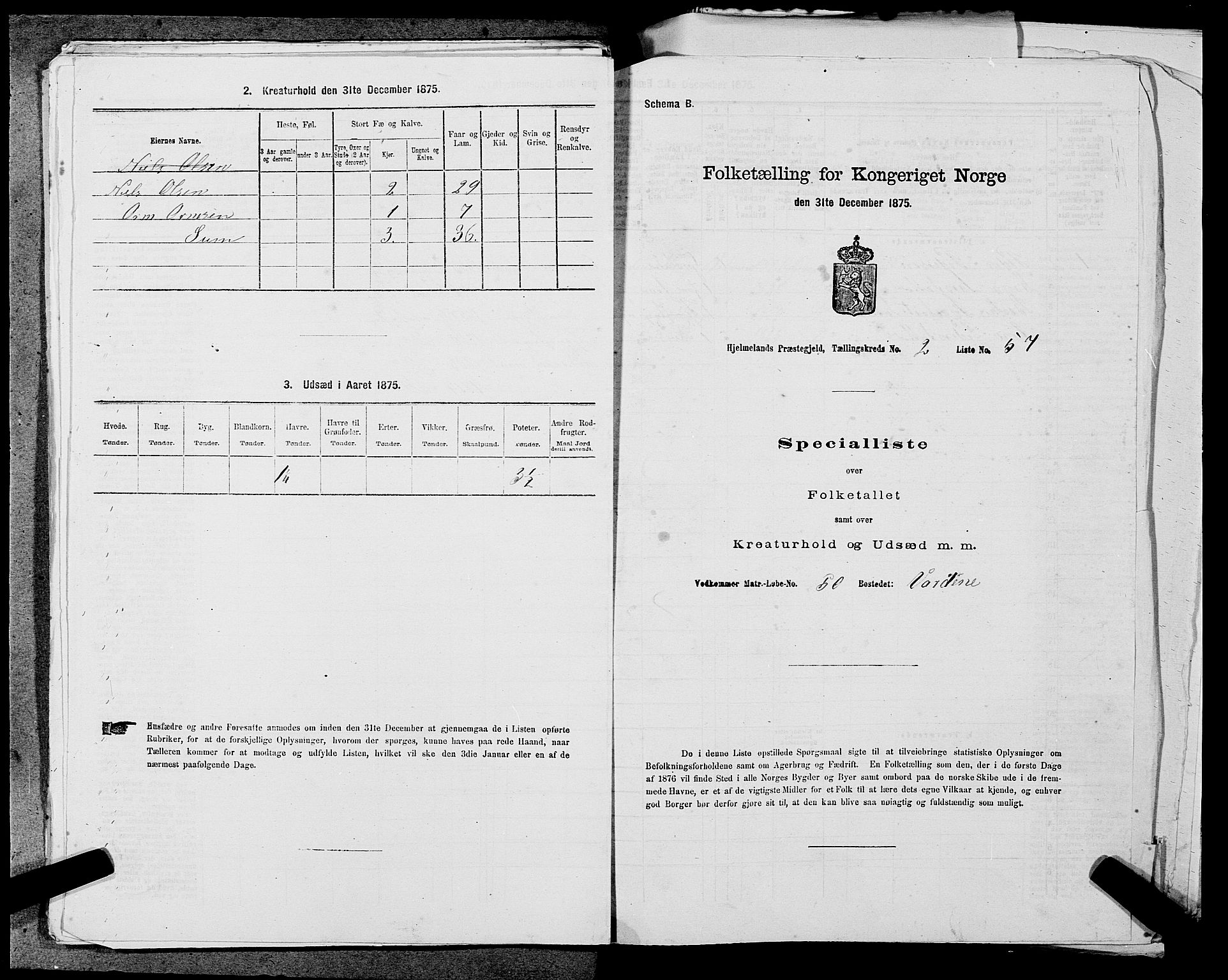 SAST, Folketelling 1875 for 1133P Hjelmeland prestegjeld, 1875, s. 315