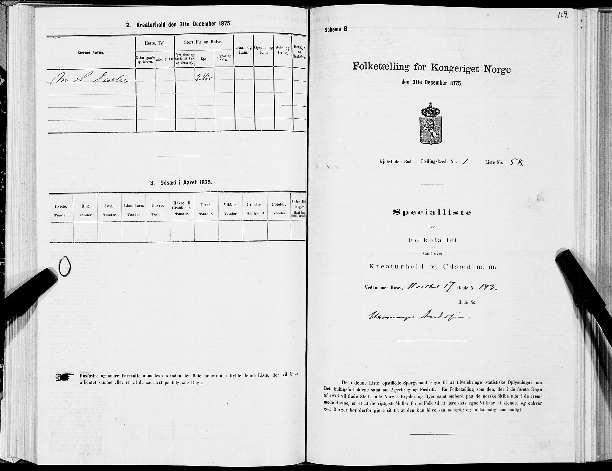 SAT, Folketelling 1875 for 1804B Bodø prestegjeld, Bodø kjøpstad, 1875, s. 119