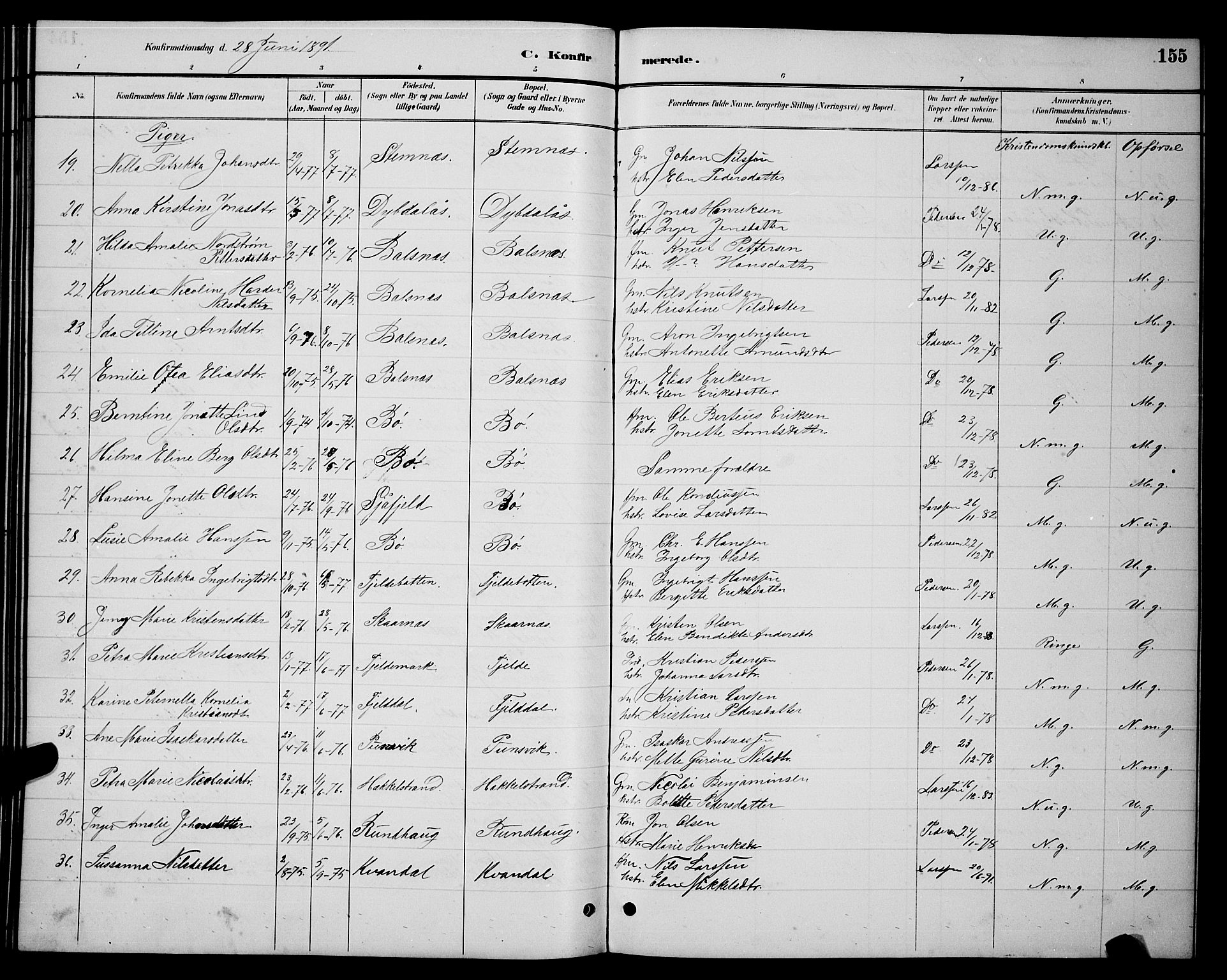 Ministerialprotokoller, klokkerbøker og fødselsregistre - Nordland, AV/SAT-A-1459/863/L0914: Klokkerbok nr. 863C04, 1886-1897, s. 155