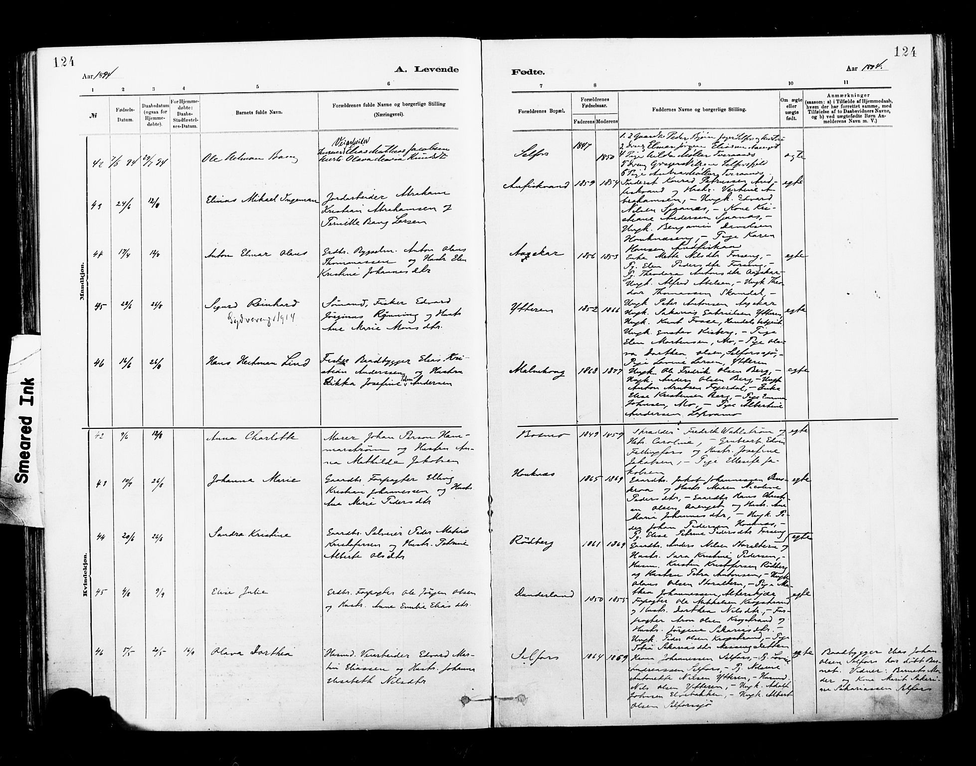 Ministerialprotokoller, klokkerbøker og fødselsregistre - Nordland, AV/SAT-A-1459/827/L0400: Ministerialbok nr. 827A12, 1883-1903, s. 124