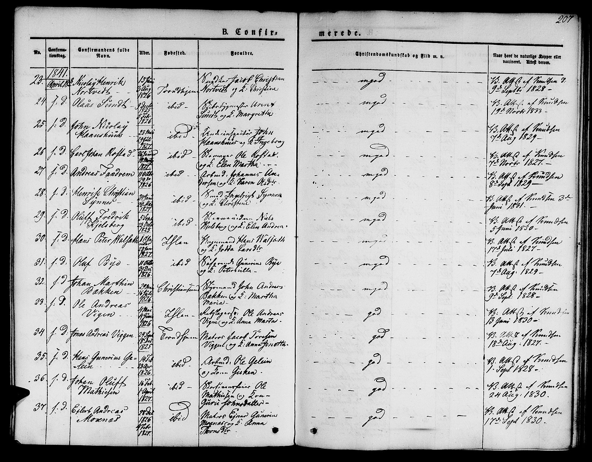 Ministerialprotokoller, klokkerbøker og fødselsregistre - Sør-Trøndelag, AV/SAT-A-1456/601/L0048: Ministerialbok nr. 601A16, 1840-1847, s. 207