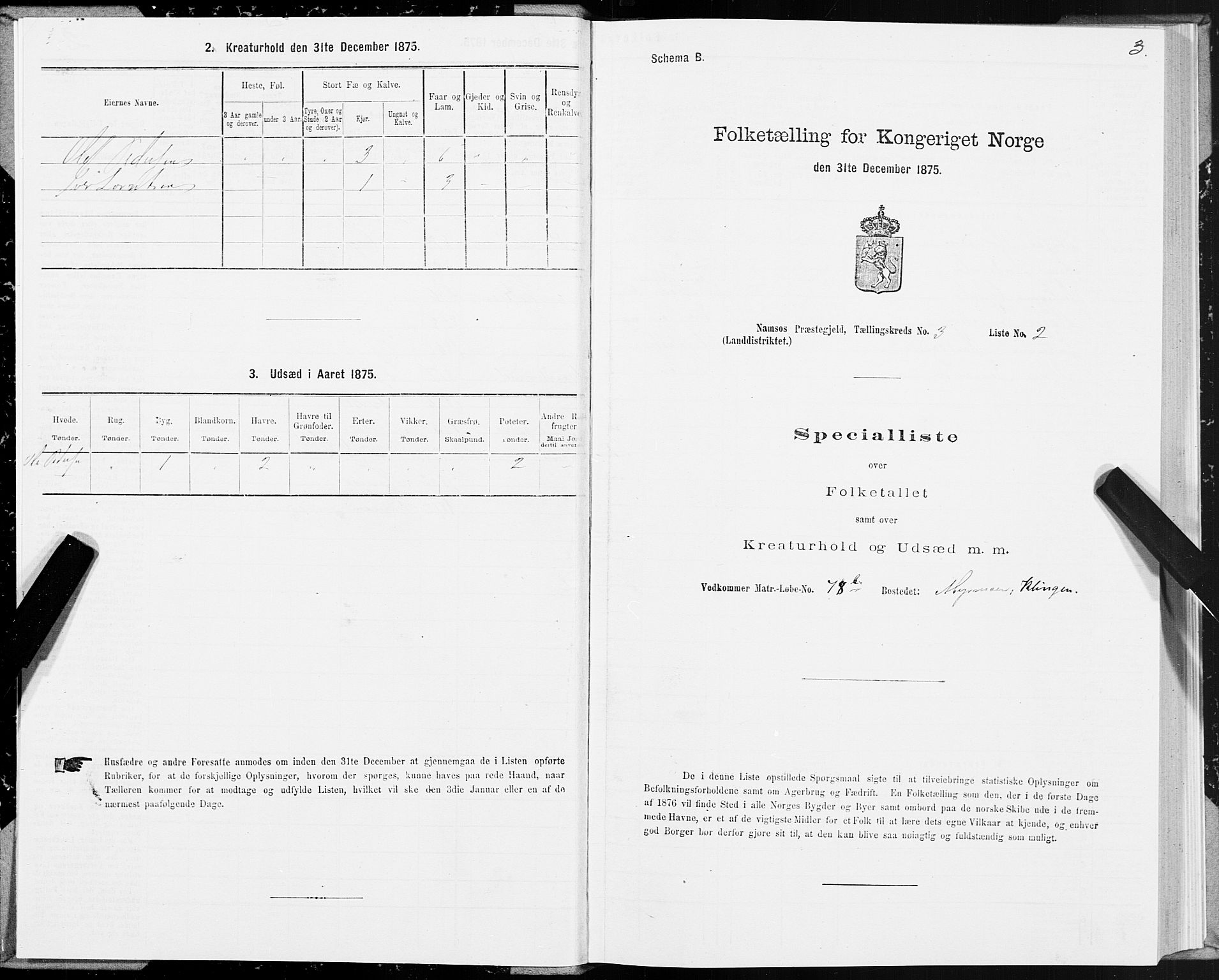 SAT, Folketelling 1875 for 1745L Namsos prestegjeld, Vemundvik sokn og Sævik sokn, 1875, s. 3003