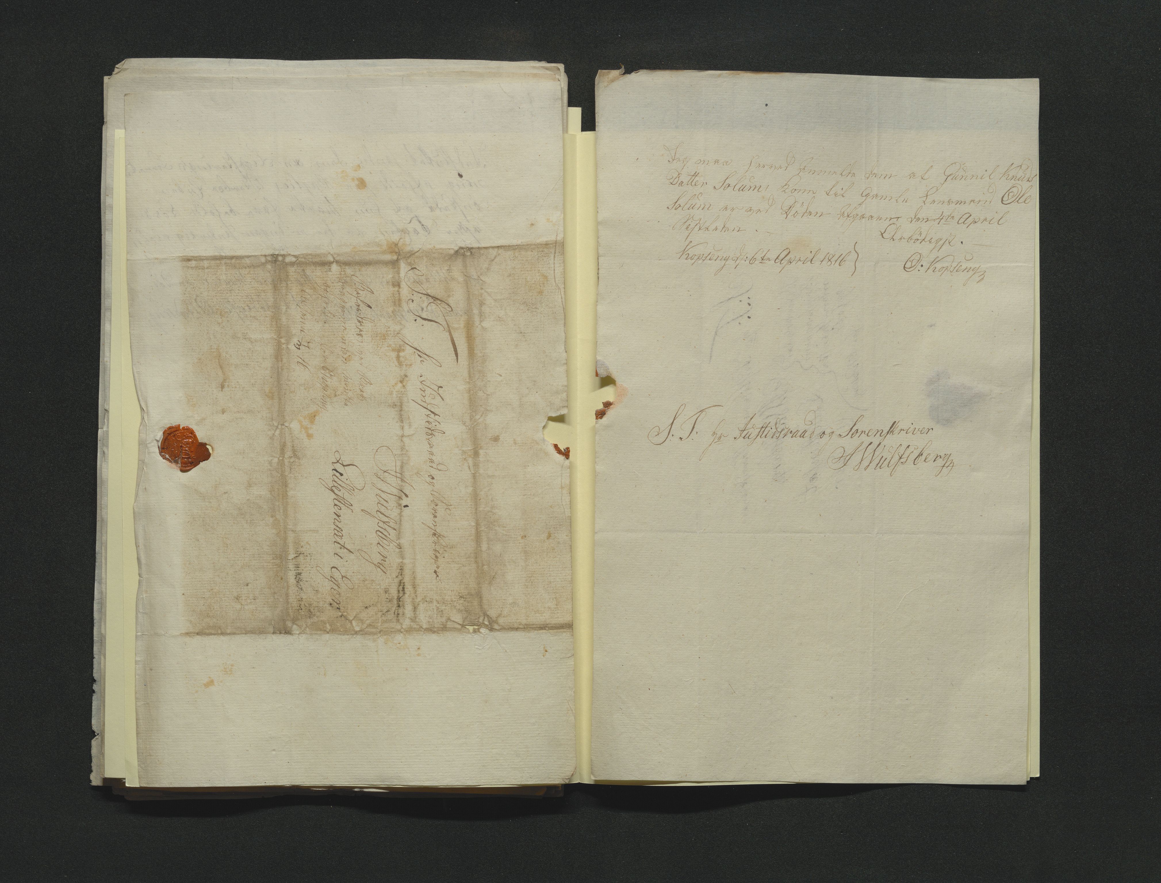 Eiker, Modum og Sigdal sorenskriveri, AV/SAKO-A-123/H/Ha/Hab/L0001: Dødsfallsmeldinger, 1812-1822, s. 190