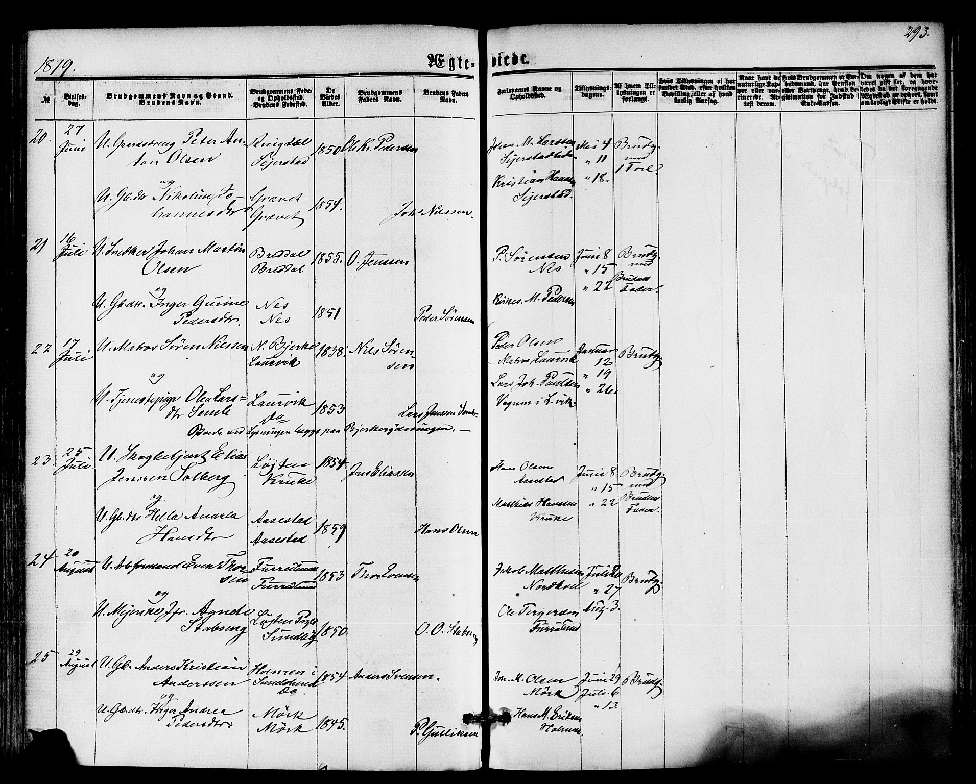 Hedrum kirkebøker, AV/SAKO-A-344/F/Fa/L0008: Ministerialbok nr. I 8, 1869-1880, s. 293