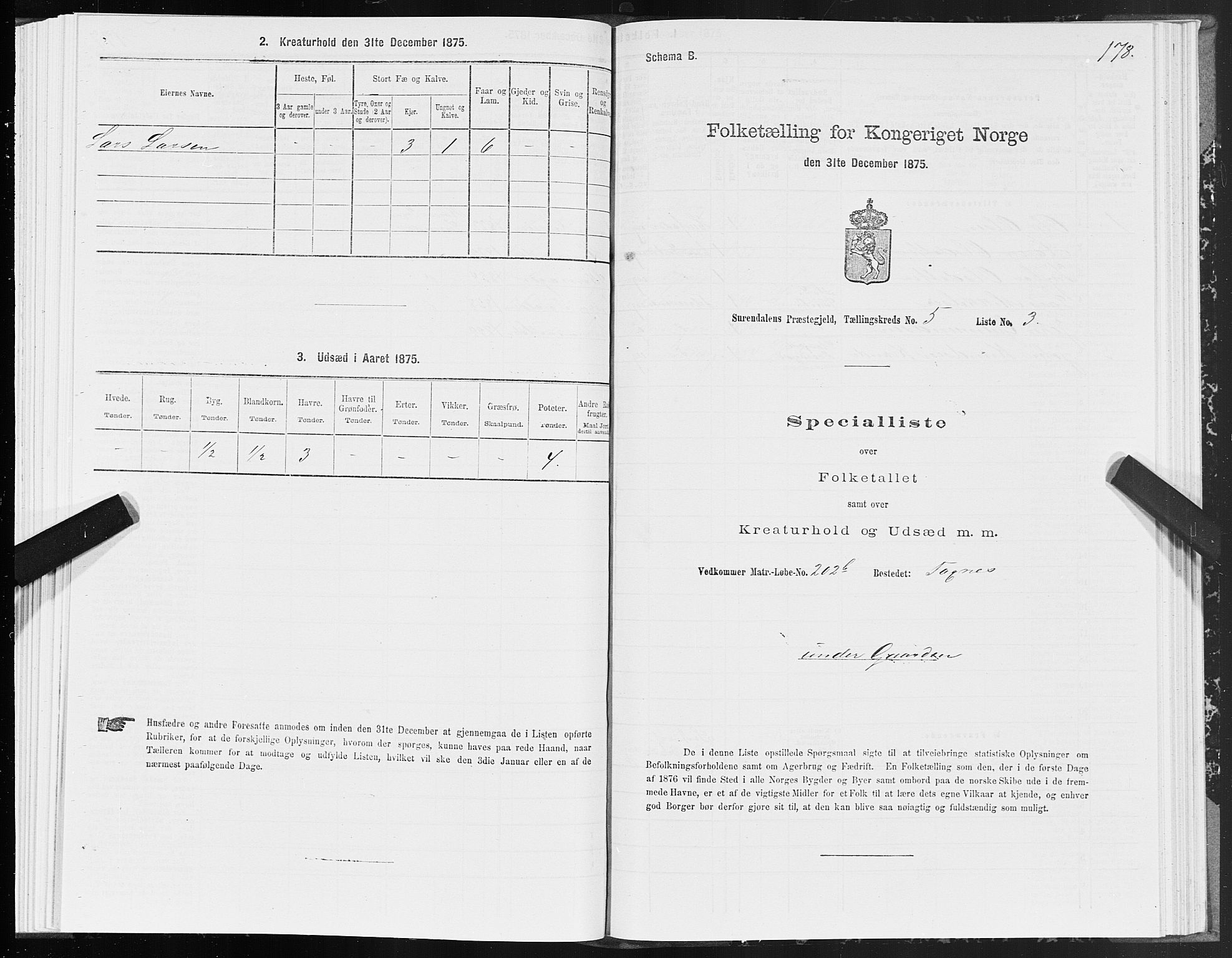 SAT, Folketelling 1875 for 1566P Surnadal prestegjeld, 1875, s. 2178