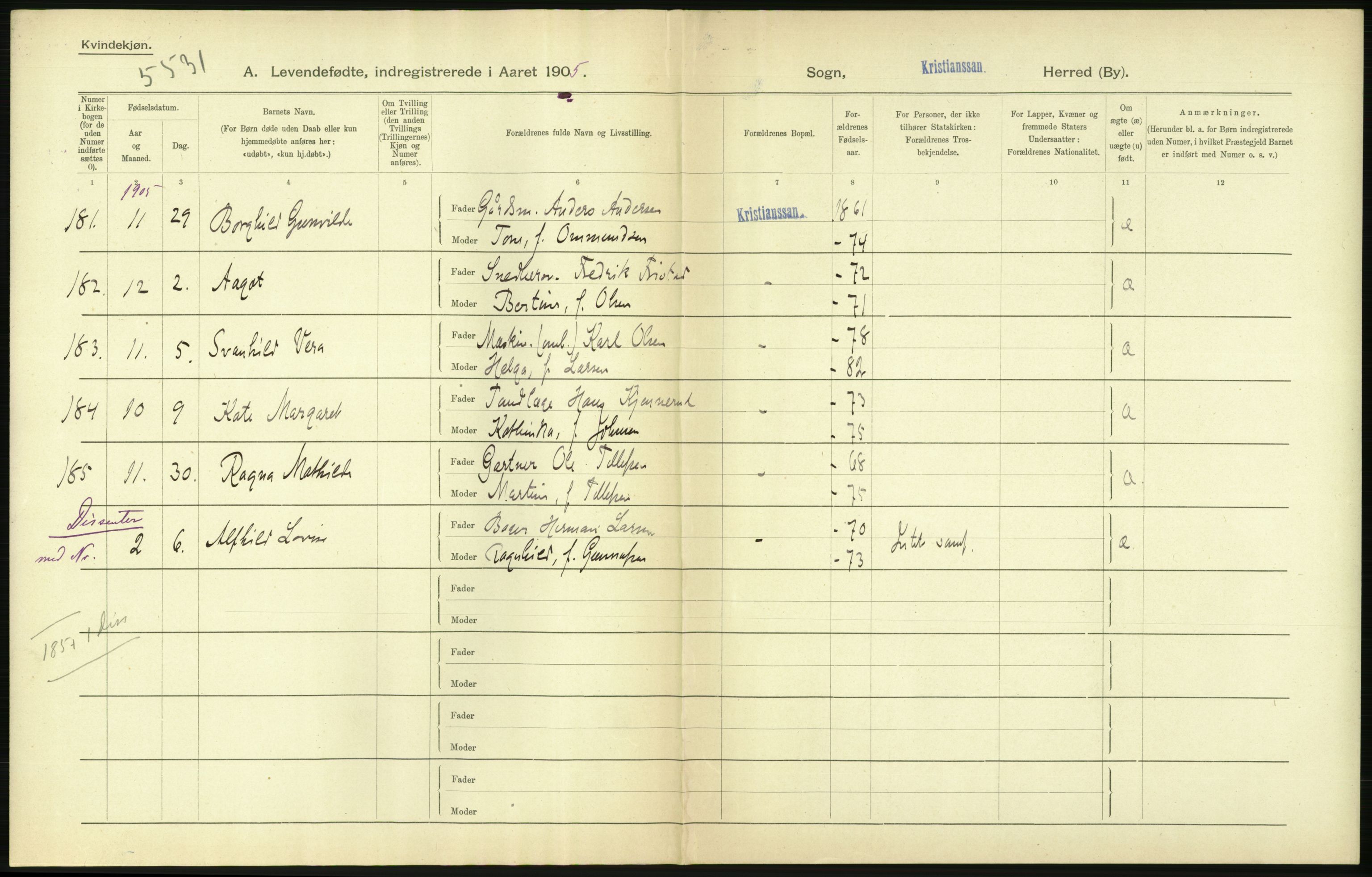 Statistisk sentralbyrå, Sosiodemografiske emner, Befolkning, AV/RA-S-2228/D/Df/Dfa/Dfac/L0043: Bratsberg - Lister og Mandals amt: Levendefødte menn og kvinner, gifte, døde, dødfødte. Byer., 1905, s. 498
