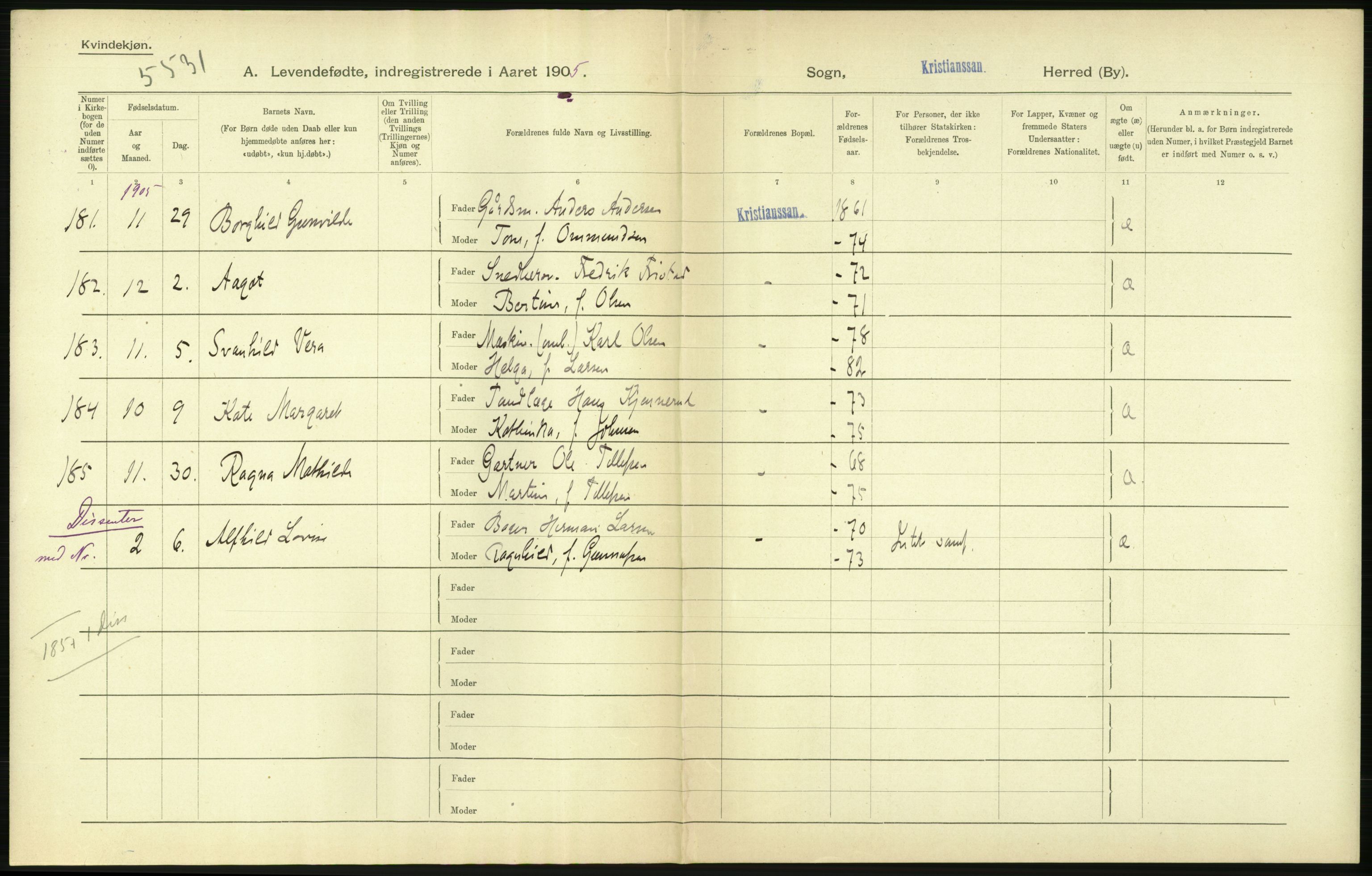 Statistisk sentralbyrå, Sosiodemografiske emner, Befolkning, RA/S-2228/D/Df/Dfa/Dfac/L0043: Bratsberg - Lister og Mandals amt: Levendefødte menn og kvinner, gifte, døde, dødfødte. Byer., 1905, s. 498