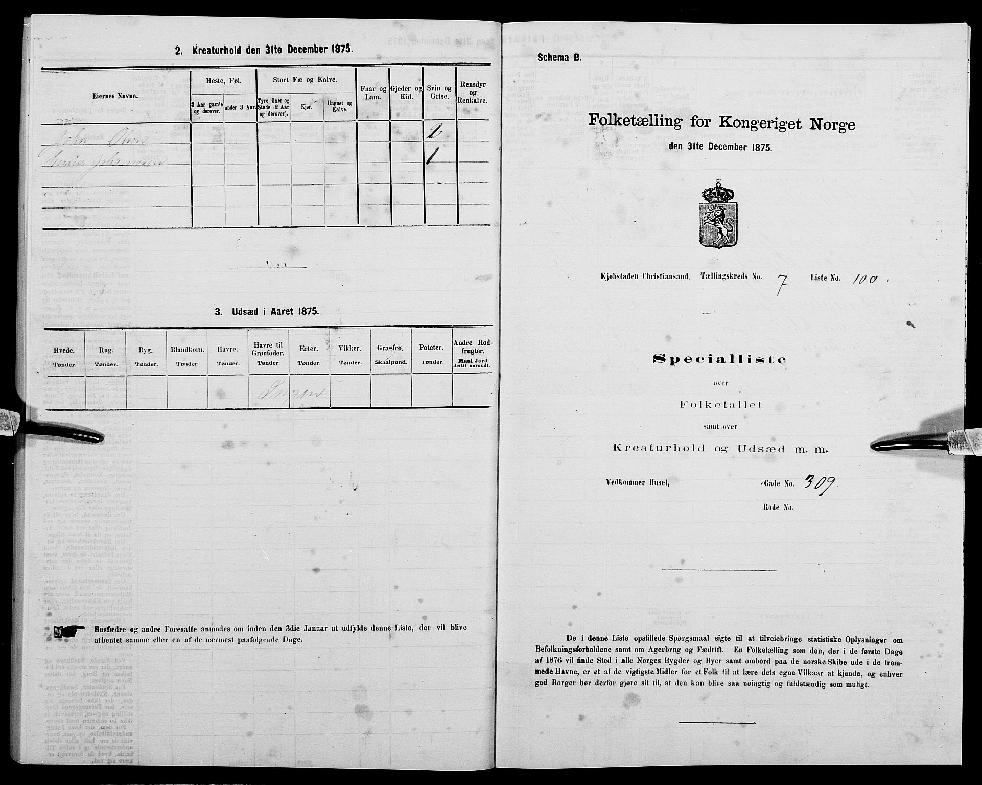 SAK, Folketelling 1875 for 1001P Kristiansand prestegjeld, 1875, s. 1203