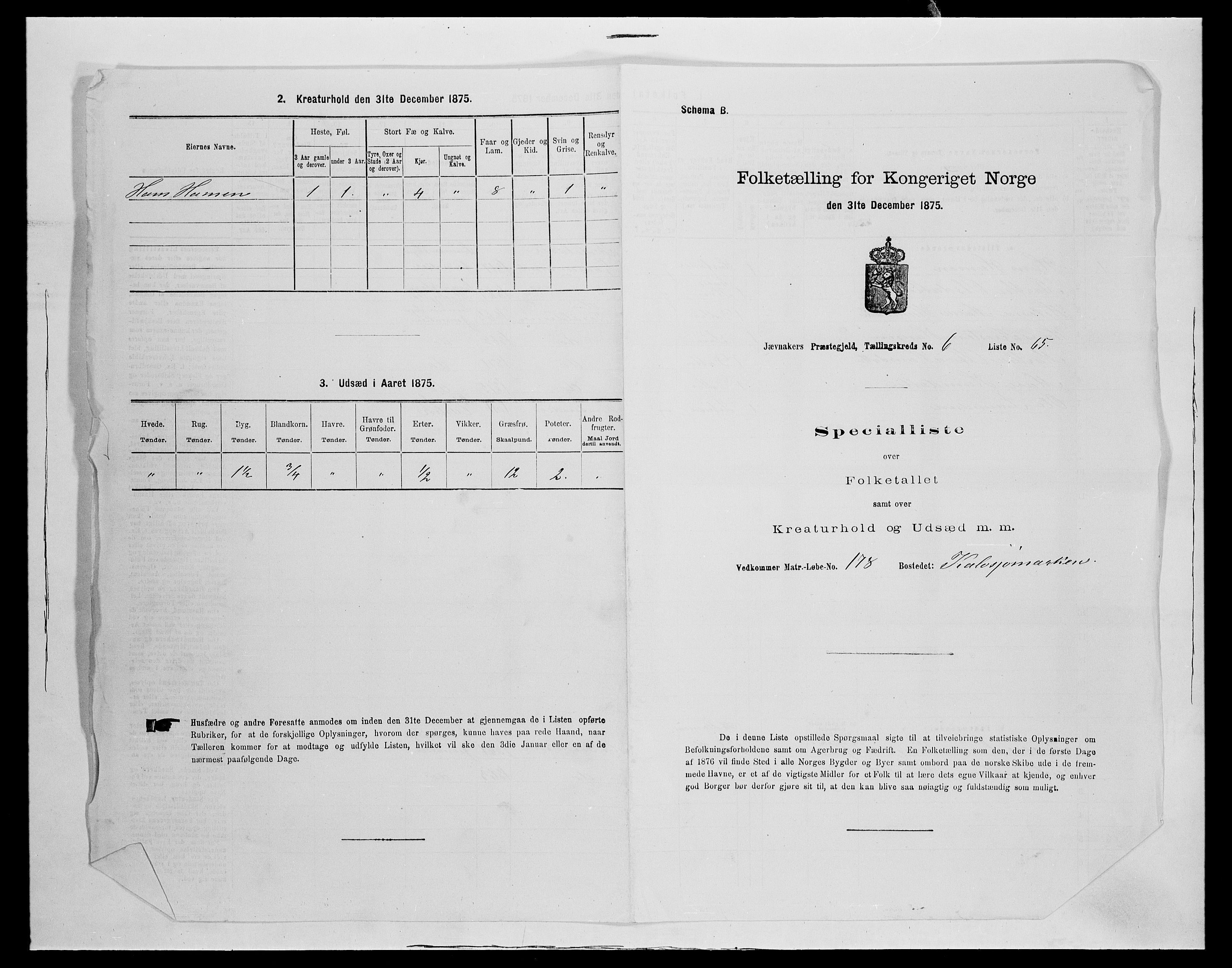 SAH, Folketelling 1875 for 0532P Jevnaker prestegjeld, 1875, s. 1153
