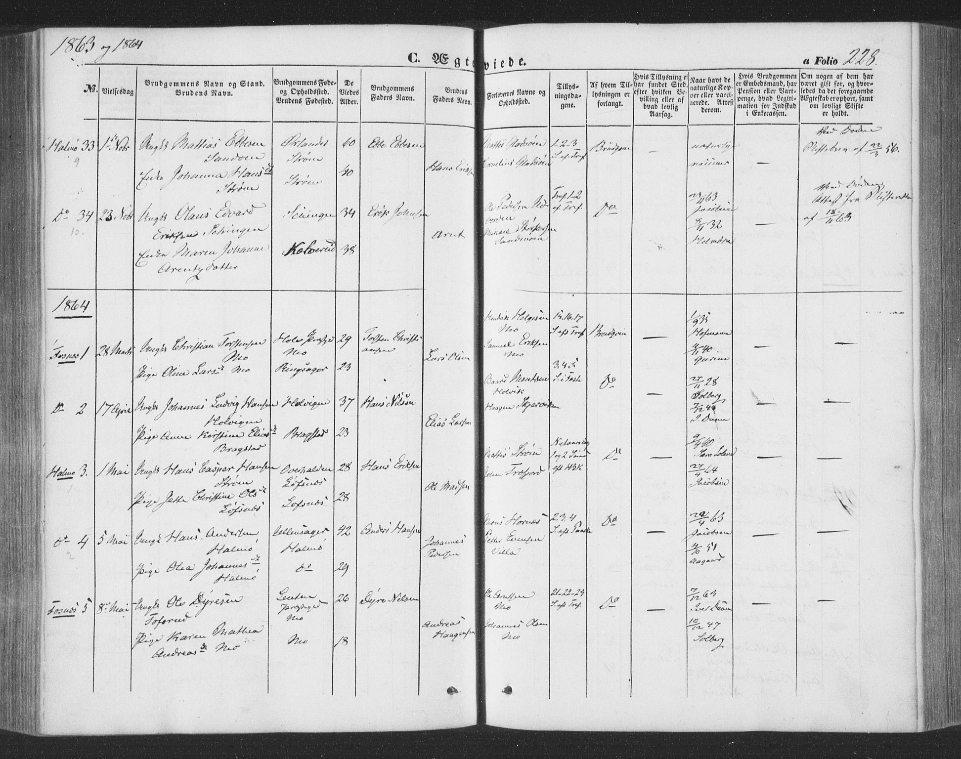 Ministerialprotokoller, klokkerbøker og fødselsregistre - Nord-Trøndelag, AV/SAT-A-1458/773/L0615: Ministerialbok nr. 773A06, 1857-1870, s. 228