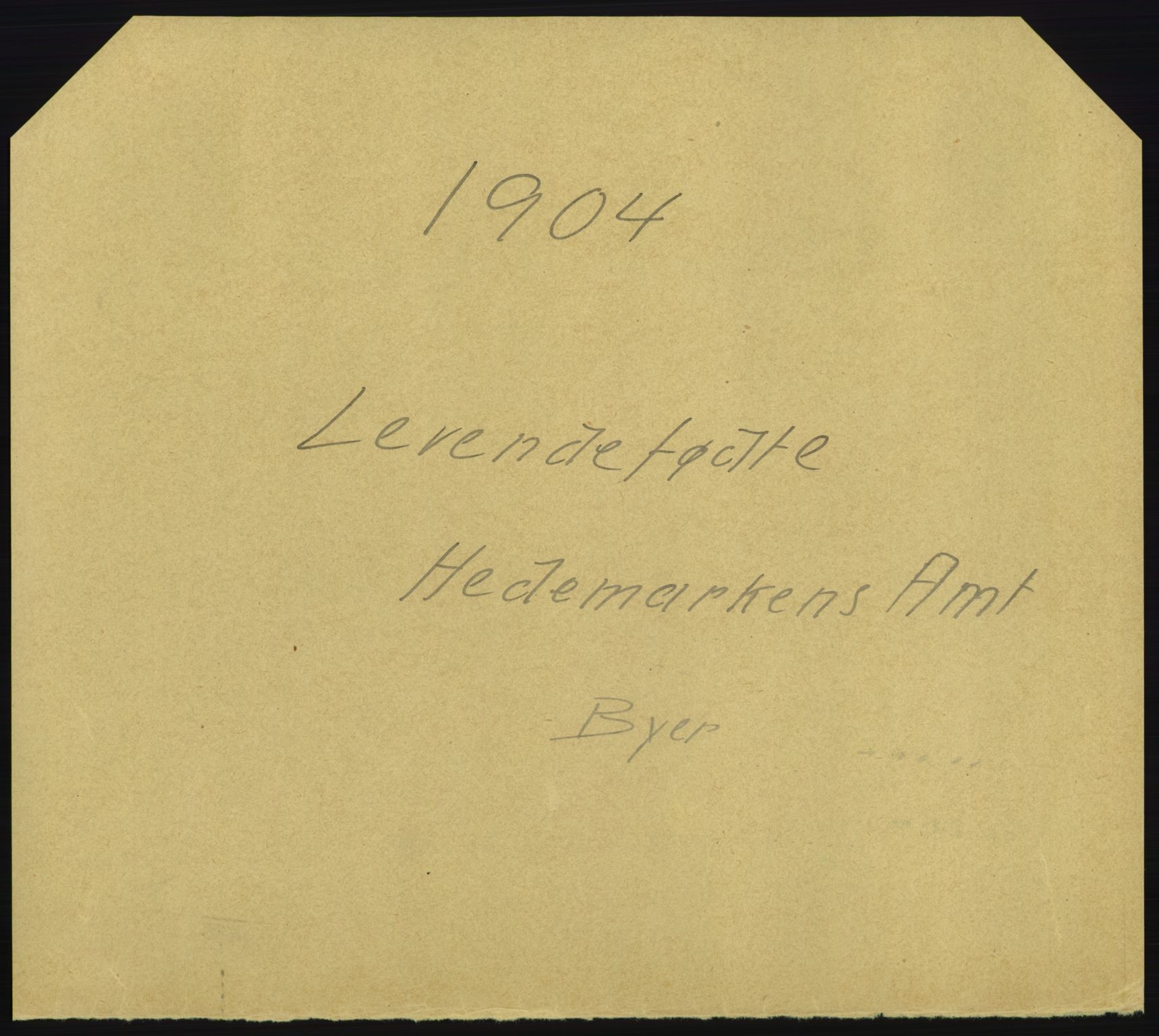 Statistisk sentralbyrå, Sosiodemografiske emner, Befolkning, AV/RA-S-2228/D/Df/Dfa/Dfab/L0005: Hedemarkens amt: Fødte, gifte, døde, 1904, s. 1