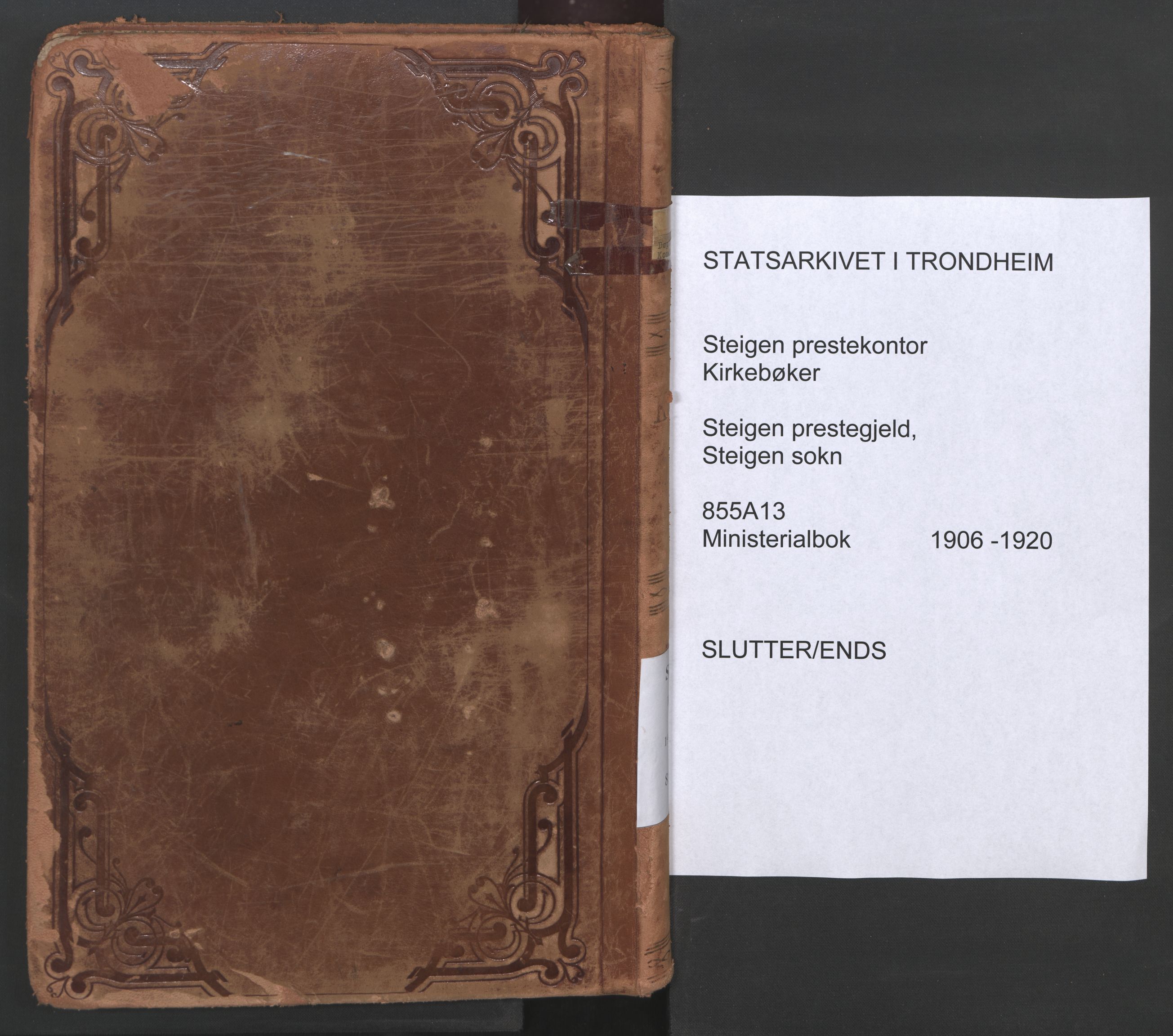Ministerialprotokoller, klokkerbøker og fødselsregistre - Nordland, SAT/A-1459/855/L0805: Ministerialbok nr. 855A13, 1906-1920