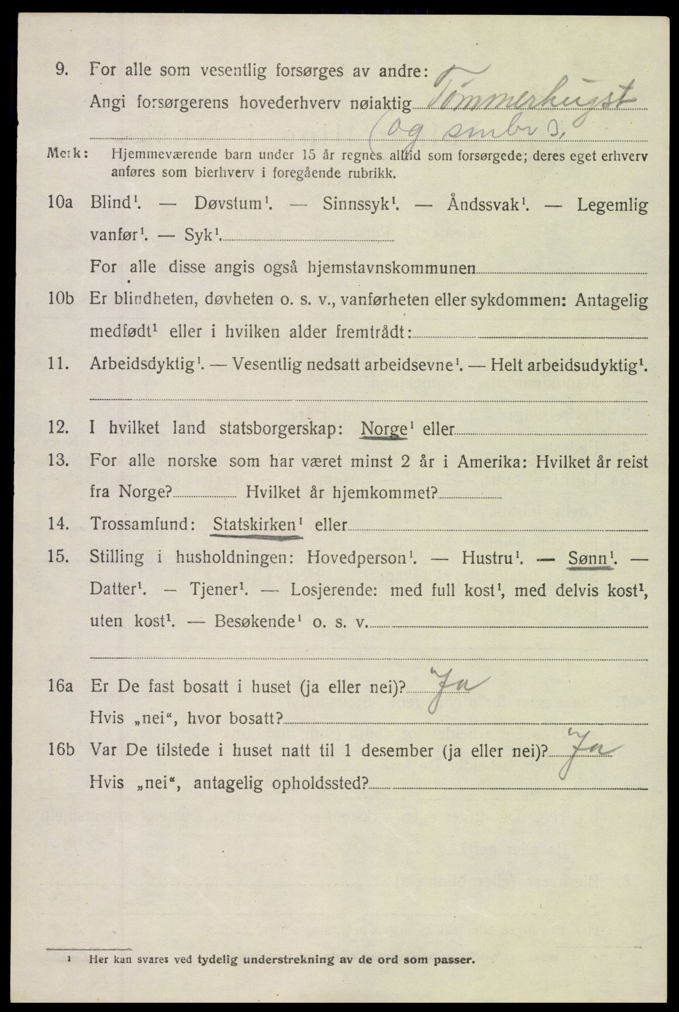 SAH, Folketelling 1920 for 0539 Torpa herred, 1920, s. 3904