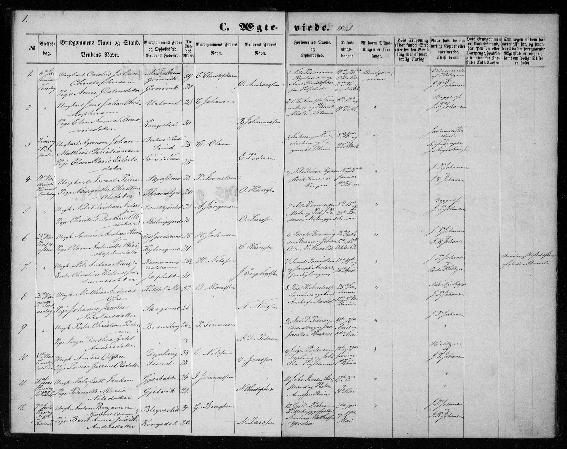 Ministerialprotokoller, klokkerbøker og fødselsregistre - Nordland, AV/SAT-A-1459/825/L0358: Ministerialbok nr. 825A12, 1863-1878, s. 1
