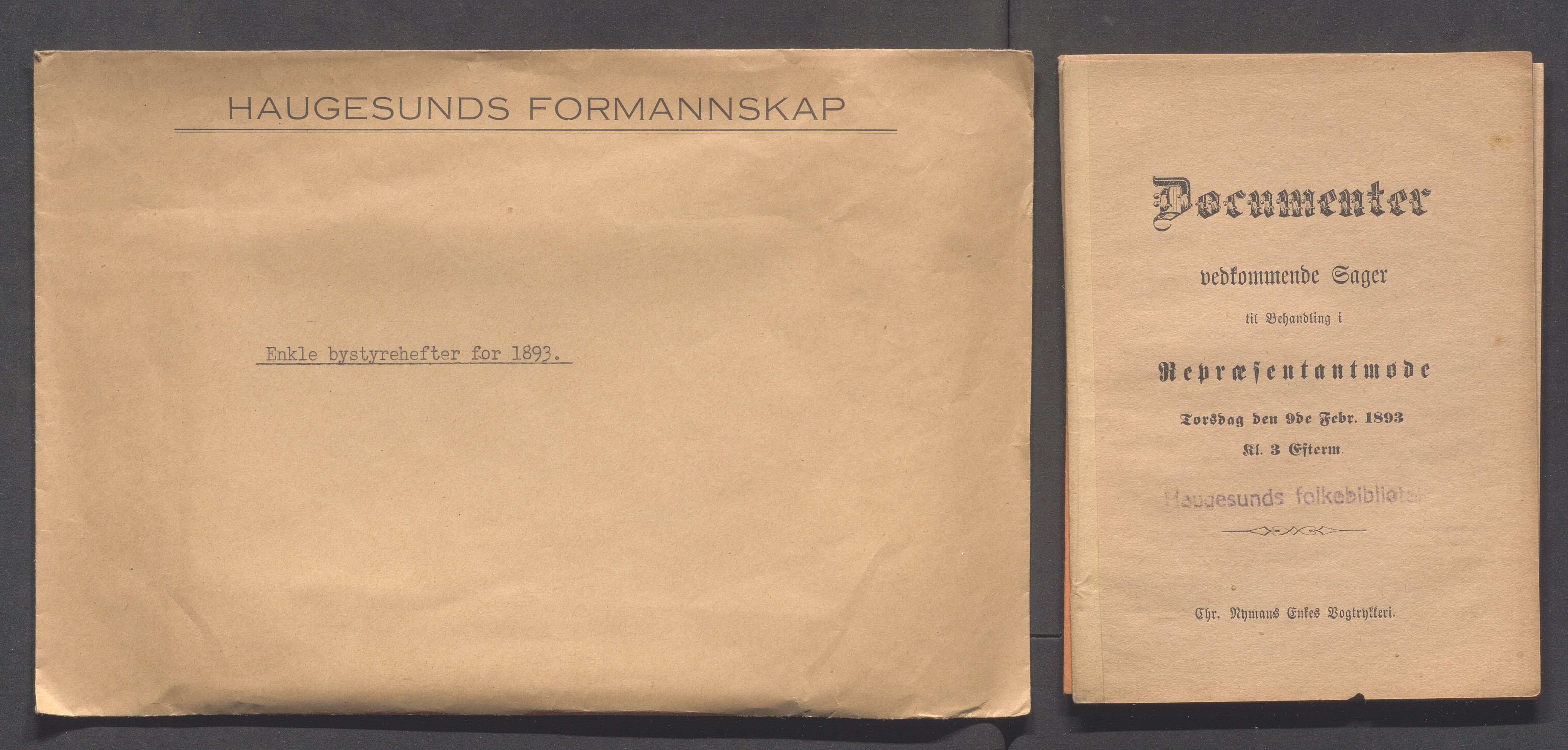 Haugesund kommune - Formannskapet og Bystyret, IKAR/A-740/A/Abb/L0001: Bystyreforhandlinger, 1889-1907, s. 119