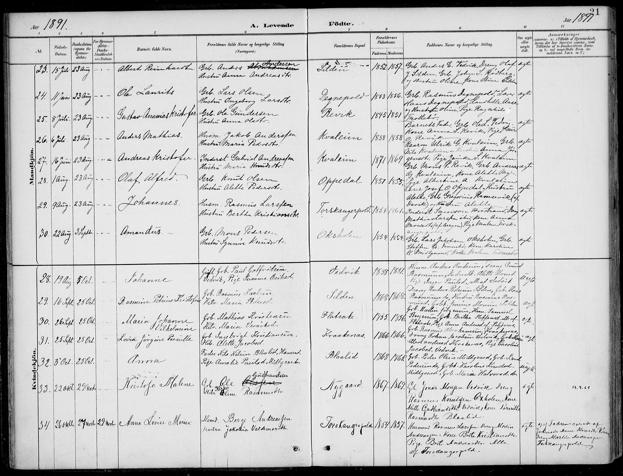 Selje sokneprestembete, AV/SAB-A-99938/H/Ha/Haa/Haac/L0002: Ministerialbok nr. C  2, 1889-1904, s. 21
