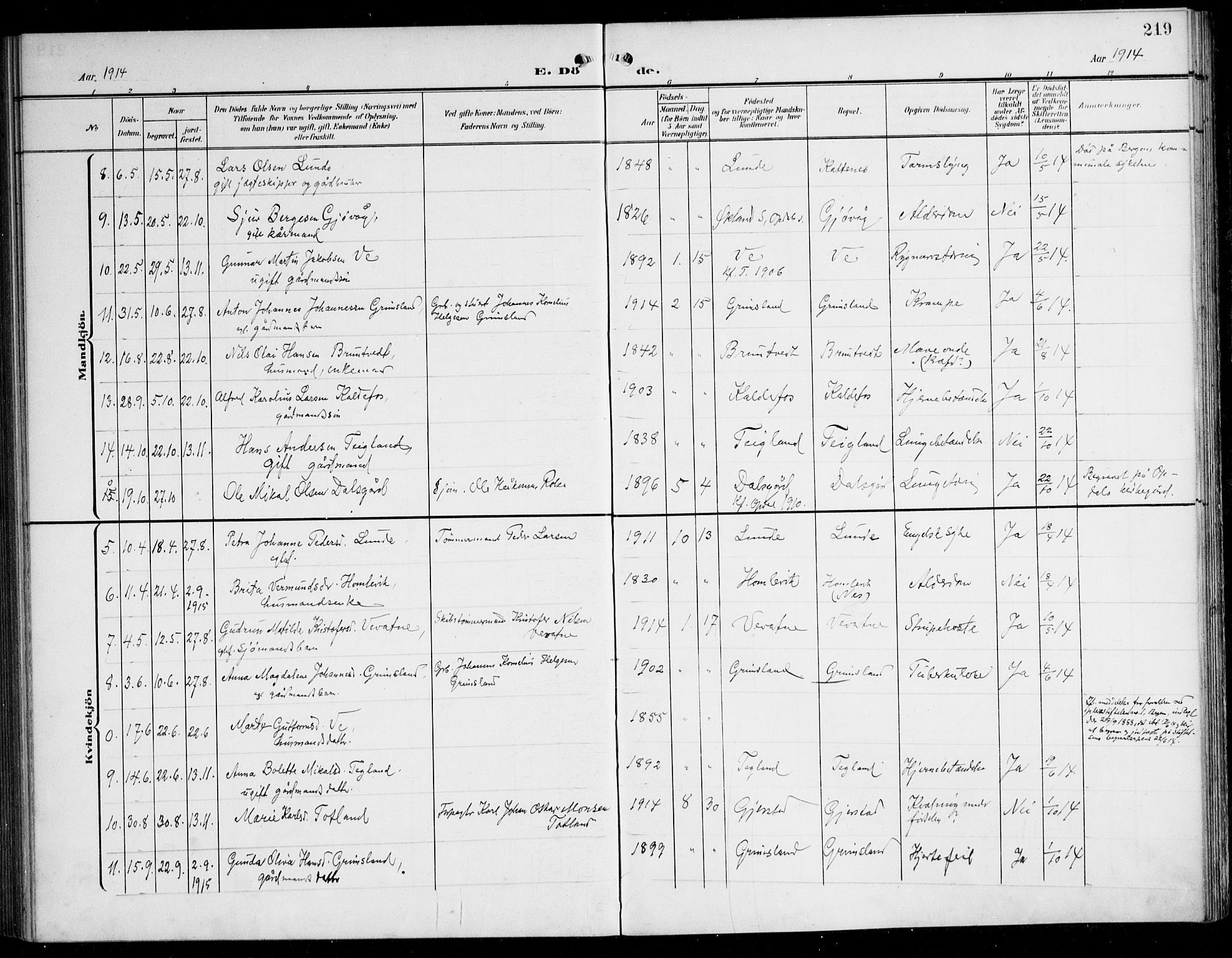 Tysnes sokneprestembete, SAB/A-78601/H/Haa: Ministerialbok nr. B 2, 1907-1925, s. 219