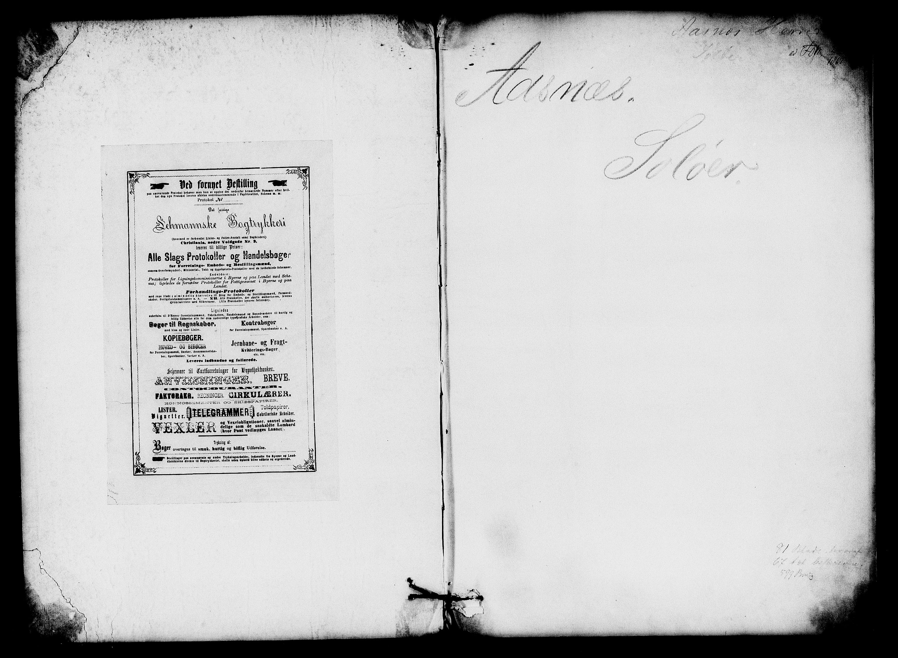 Matrikkelrevisjonen av 1863, RA/S-1530/F/Fe/L0056: Åsnes, 1863