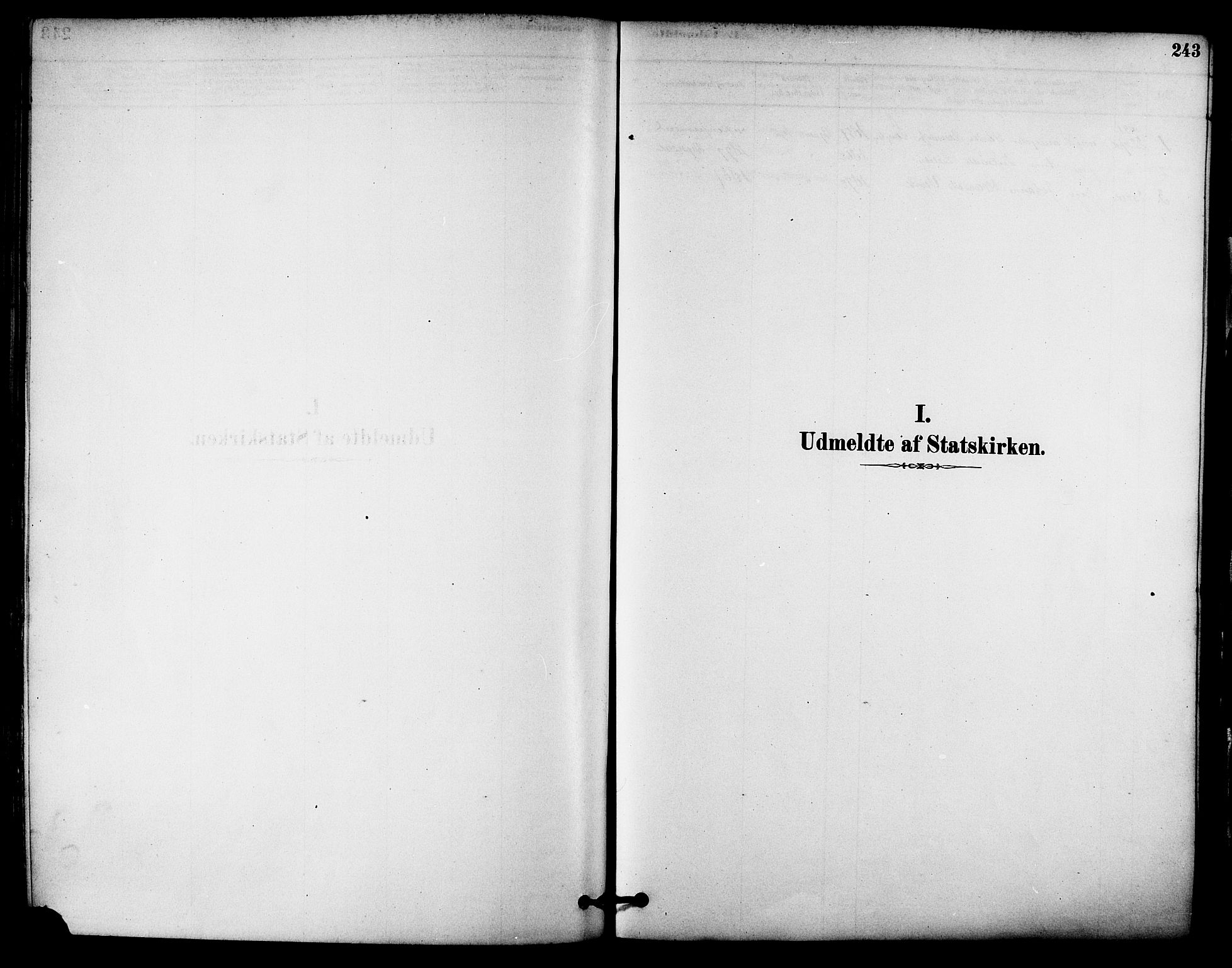 Ministerialprotokoller, klokkerbøker og fødselsregistre - Sør-Trøndelag, SAT/A-1456/612/L0378: Ministerialbok nr. 612A10, 1878-1897, s. 243