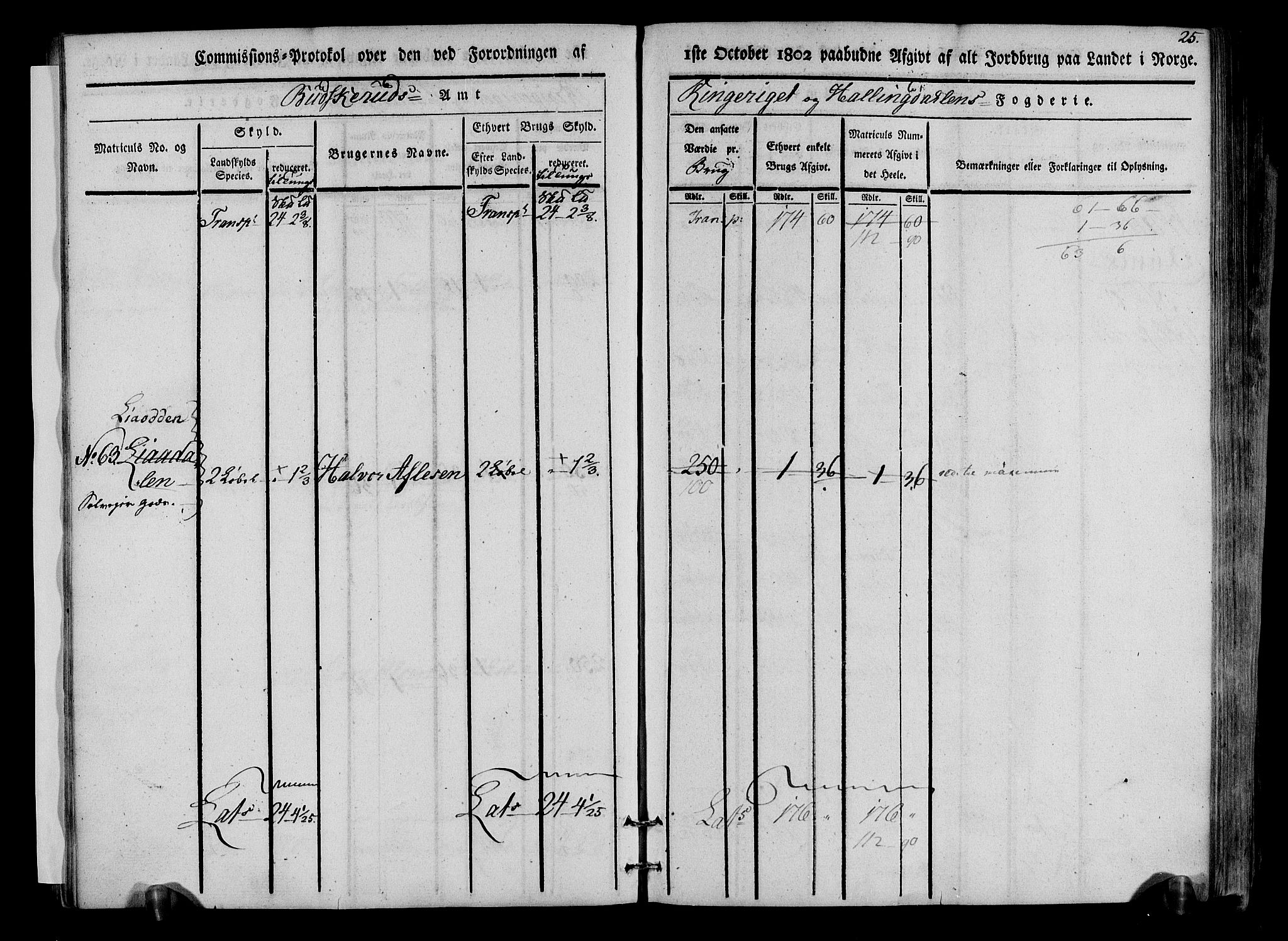 Rentekammeret inntil 1814, Realistisk ordnet avdeling, RA/EA-4070/N/Ne/Nea/L0047: Ringerike og Hallingdal fogderi. Kommisjonsprotokoll for Nes prestegjeld, 1803, s. 26