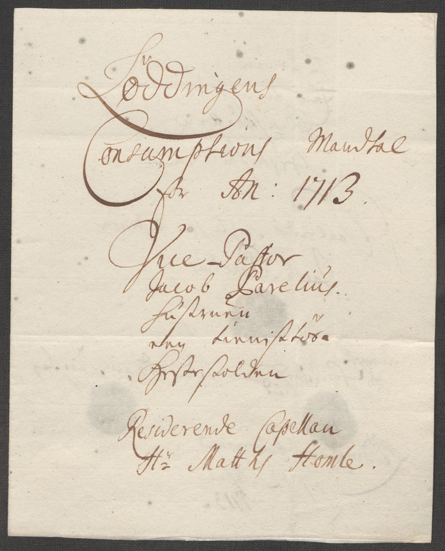 Rentekammeret inntil 1814, Reviderte regnskaper, Fogderegnskap, AV/RA-EA-4092/R66/L4583: Fogderegnskap Salten, 1713, s. 90