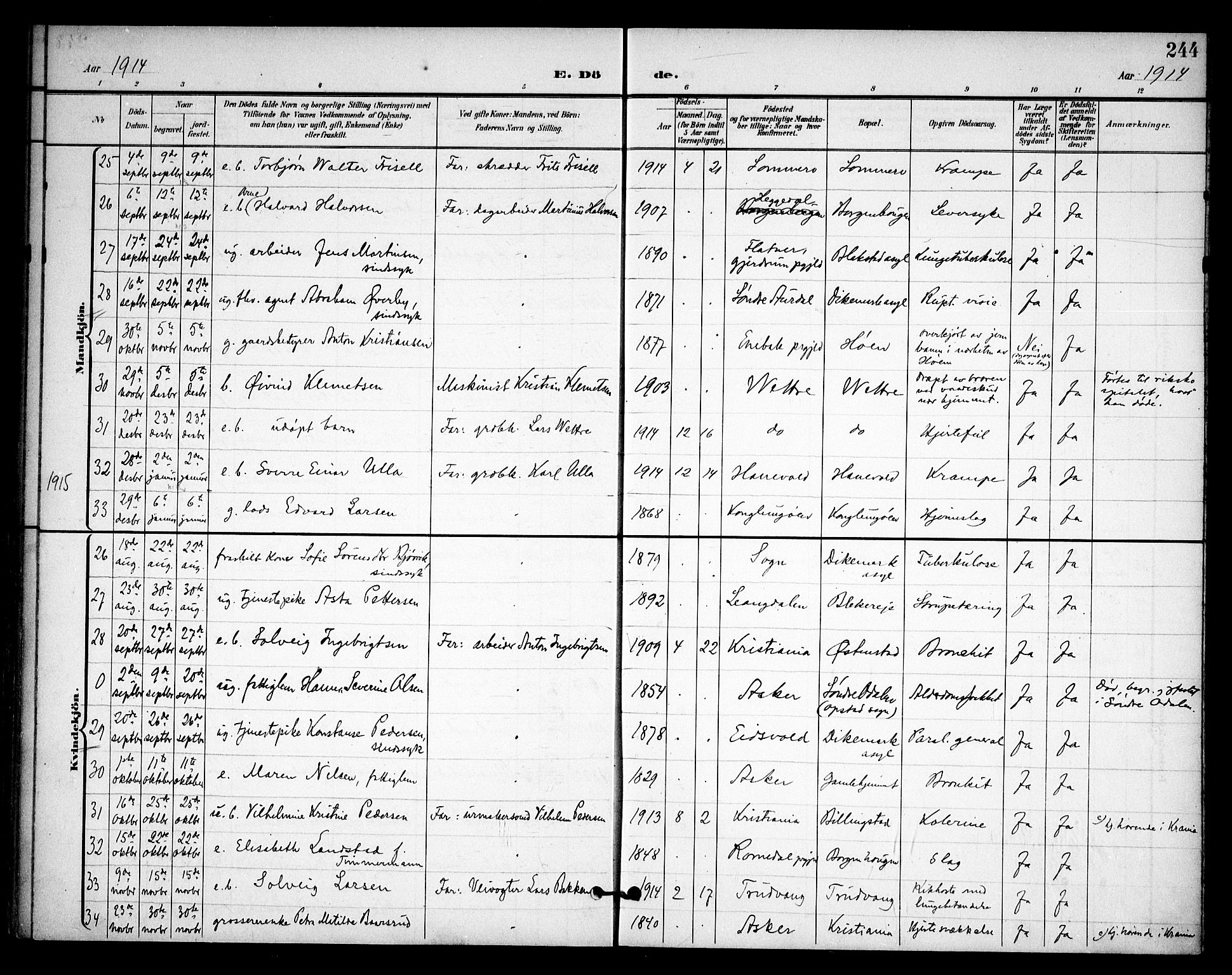 Asker prestekontor Kirkebøker, AV/SAO-A-10256a/F/Fa/L0015: Ministerialbok nr. I 15, 1896-1915, s. 244