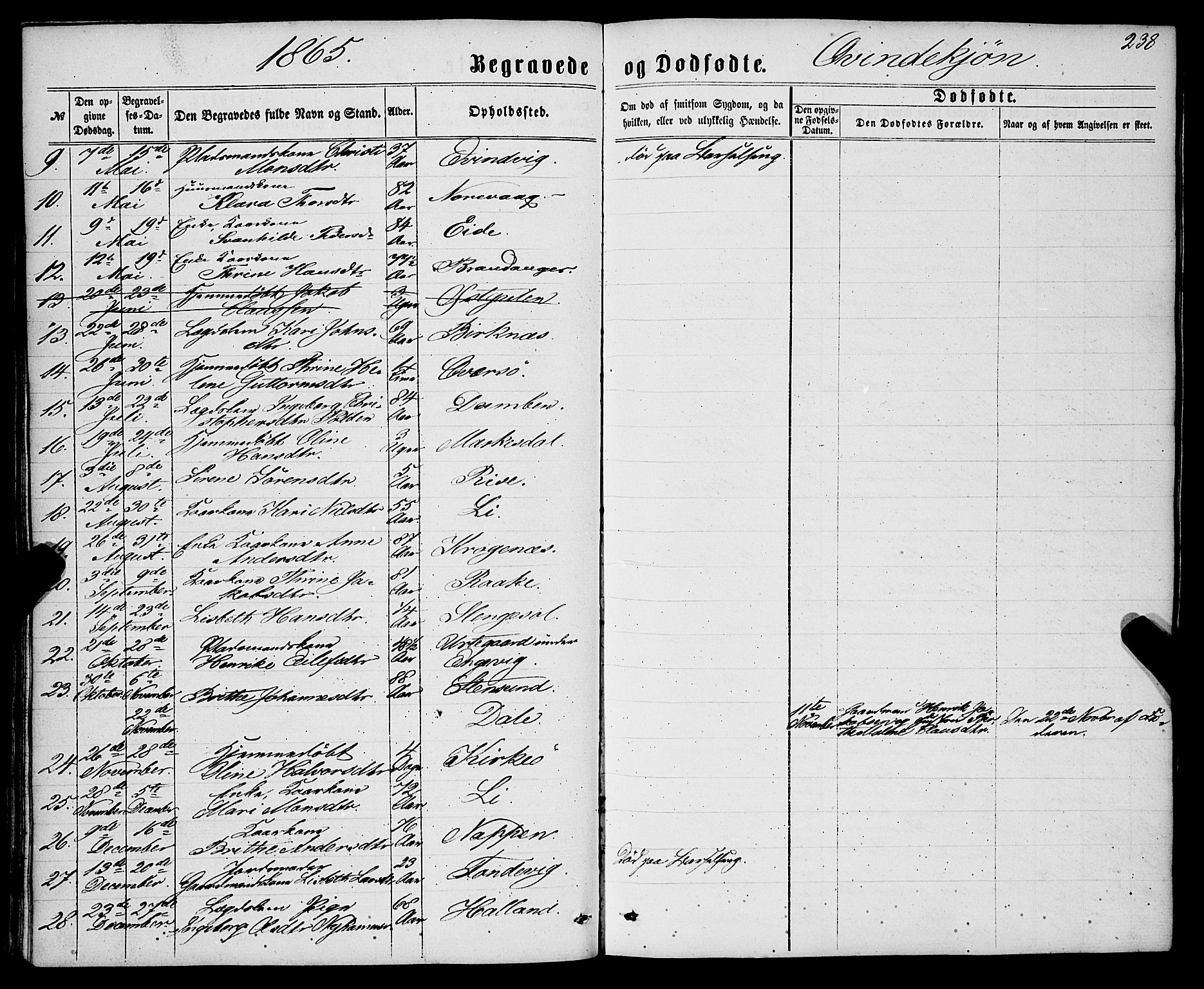 Gulen sokneprestembete, AV/SAB-A-80201/H/Haa/Haaa/L0022: Ministerialbok nr. A 22, 1859-1869, s. 238