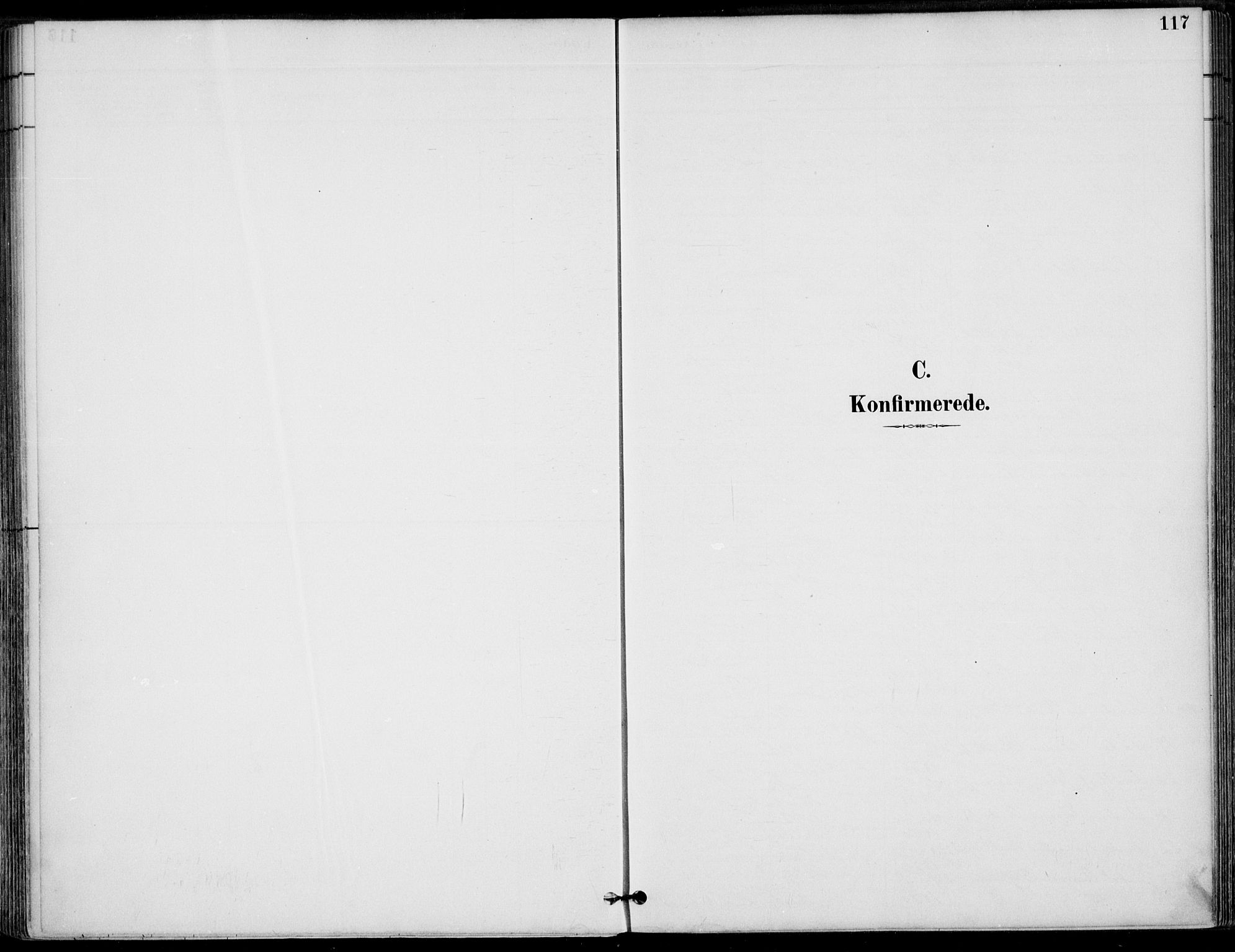 Ministerialprotokoller, klokkerbøker og fødselsregistre - Nordland, AV/SAT-A-1459/825/L0362: Ministerialbok nr. 825A16, 1886-1908, s. 117