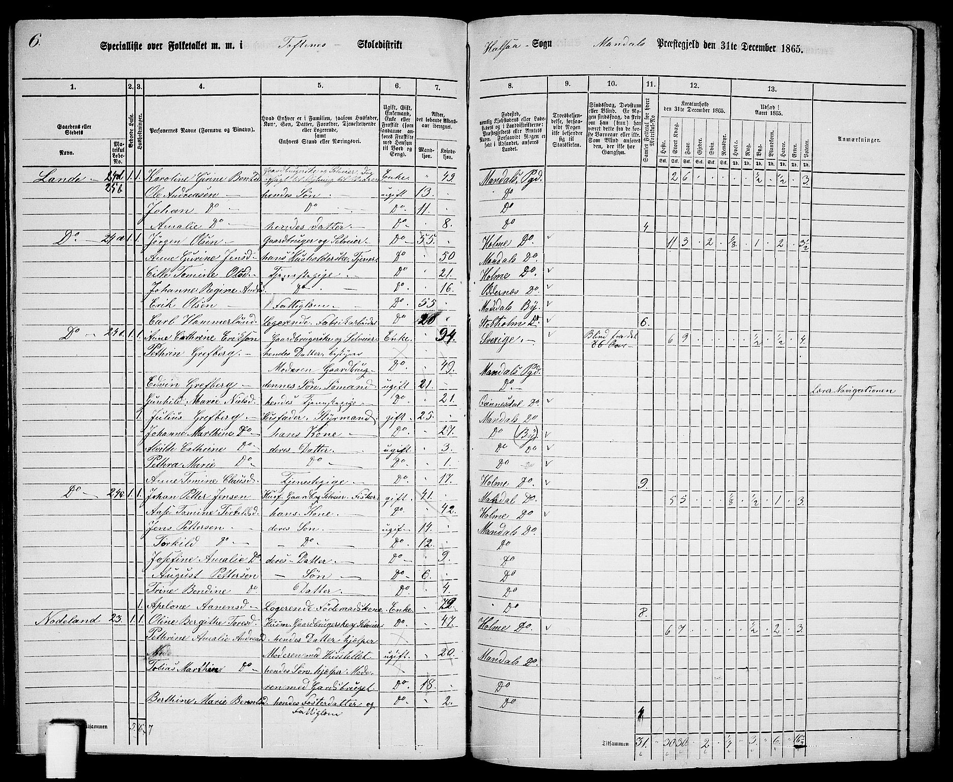 RA, Folketelling 1865 for 1019L Mandal prestegjeld, Halse sokn og Harkmark sokn, 1865, s. 115