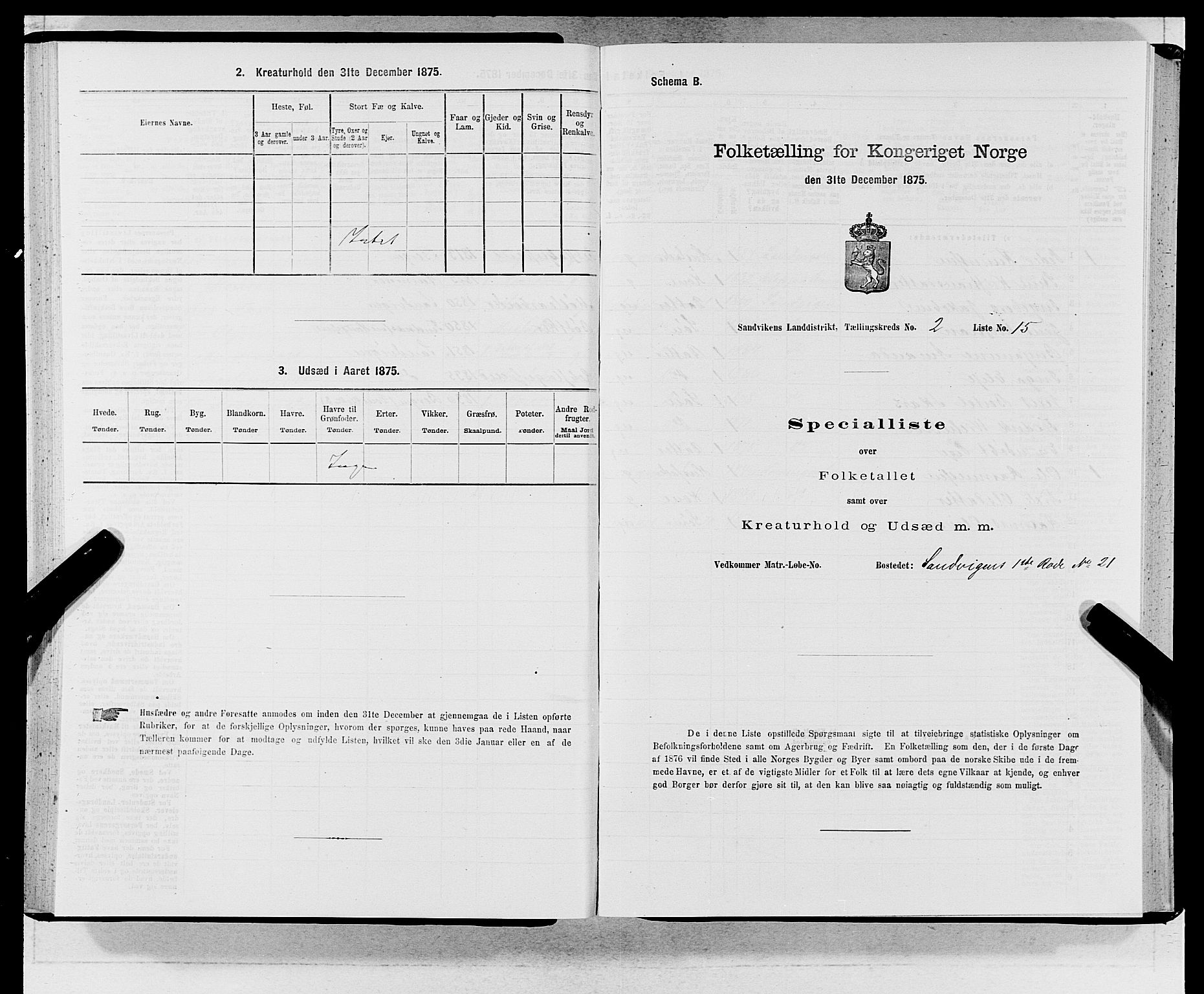 SAB, Folketelling 1875 for 1281L Bergen landdistrikt, Domkirkens landsokn og Sandvikens landsokn, 1875, s. 155