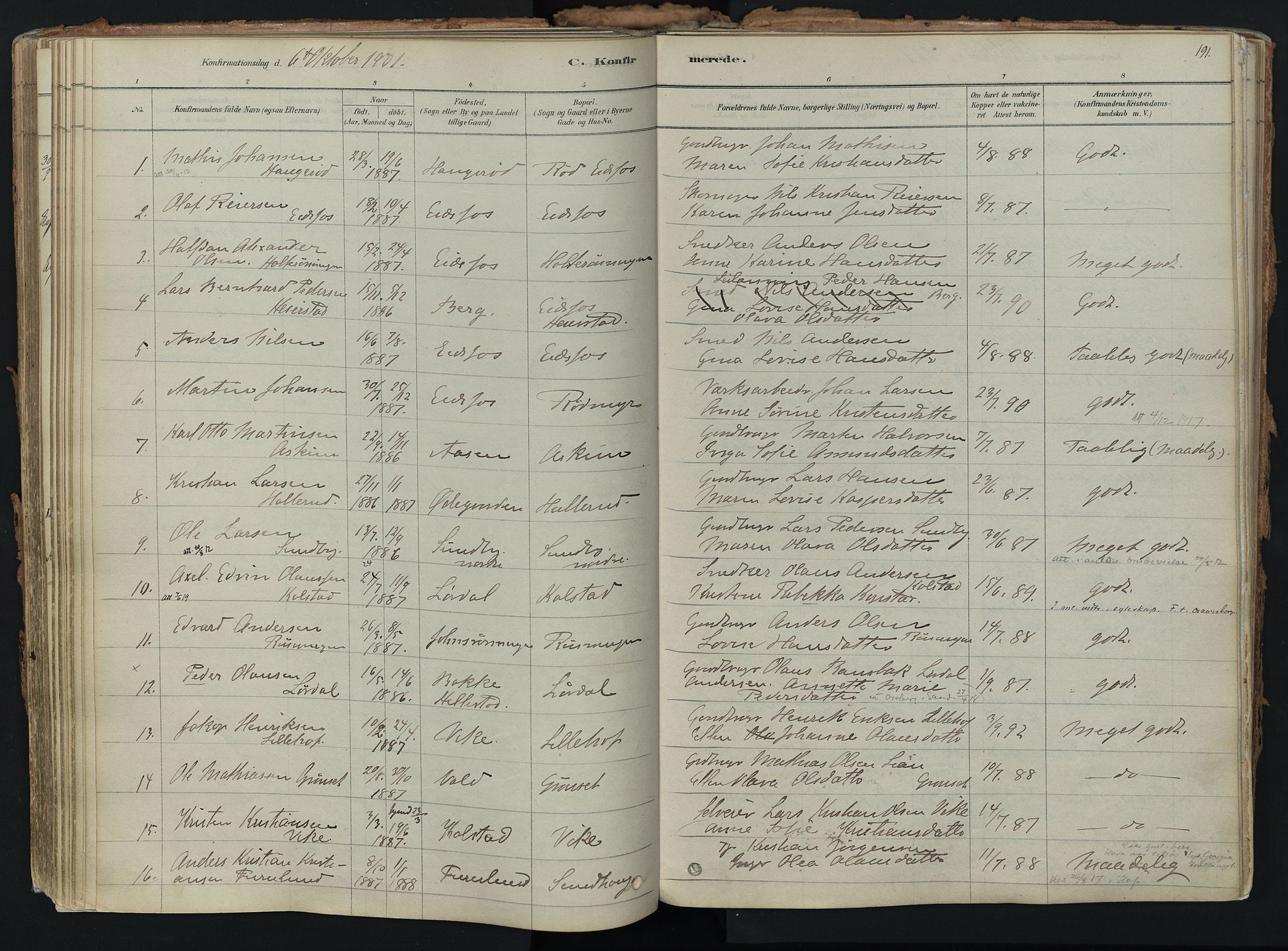Hof kirkebøker, AV/SAKO-A-64/F/Fa/L0007: Ministerialbok nr. I 7, 1878-1940, s. 191