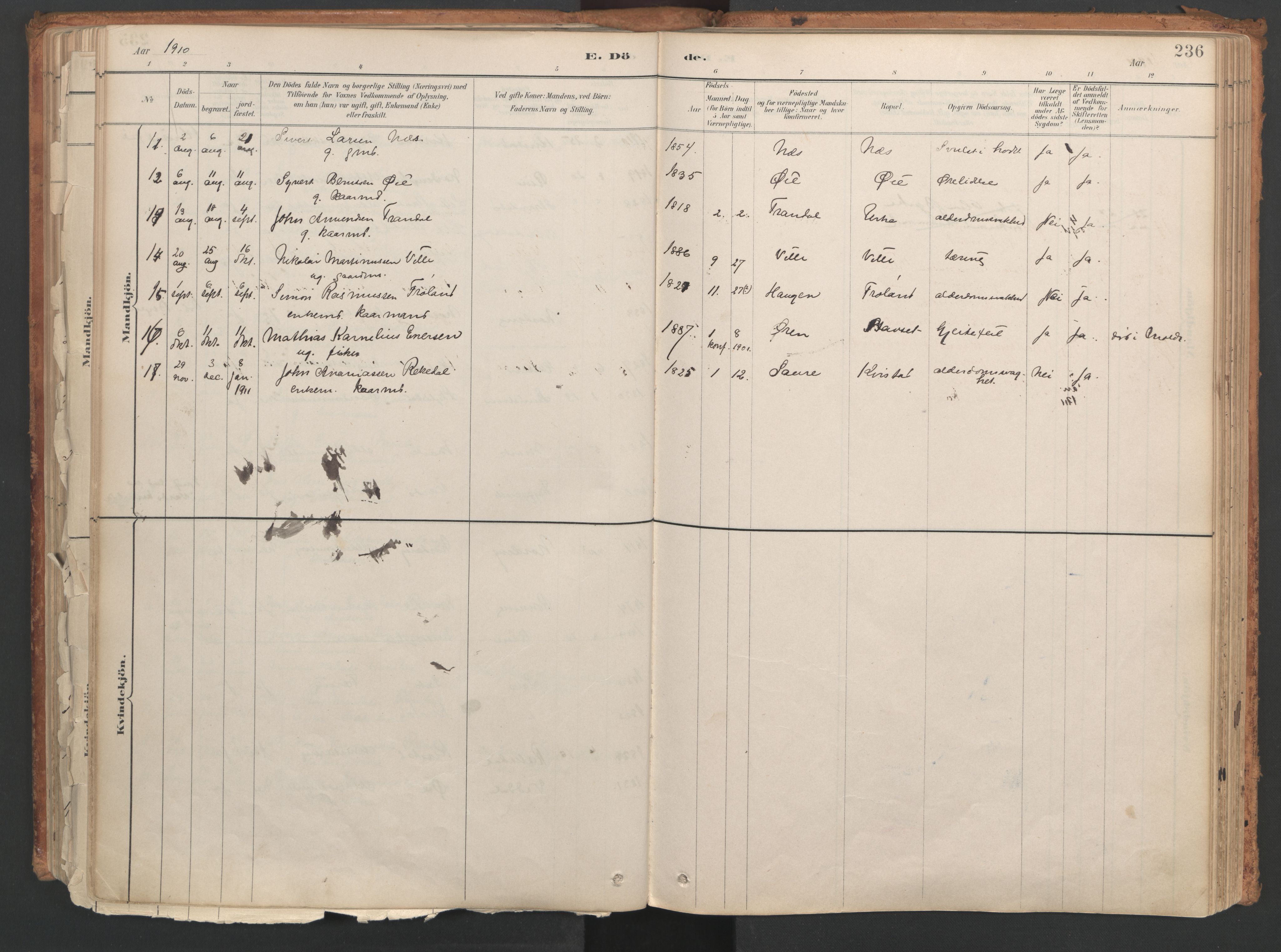 Ministerialprotokoller, klokkerbøker og fødselsregistre - Møre og Romsdal, AV/SAT-A-1454/515/L0211: Ministerialbok nr. 515A07, 1886-1910, s. 236