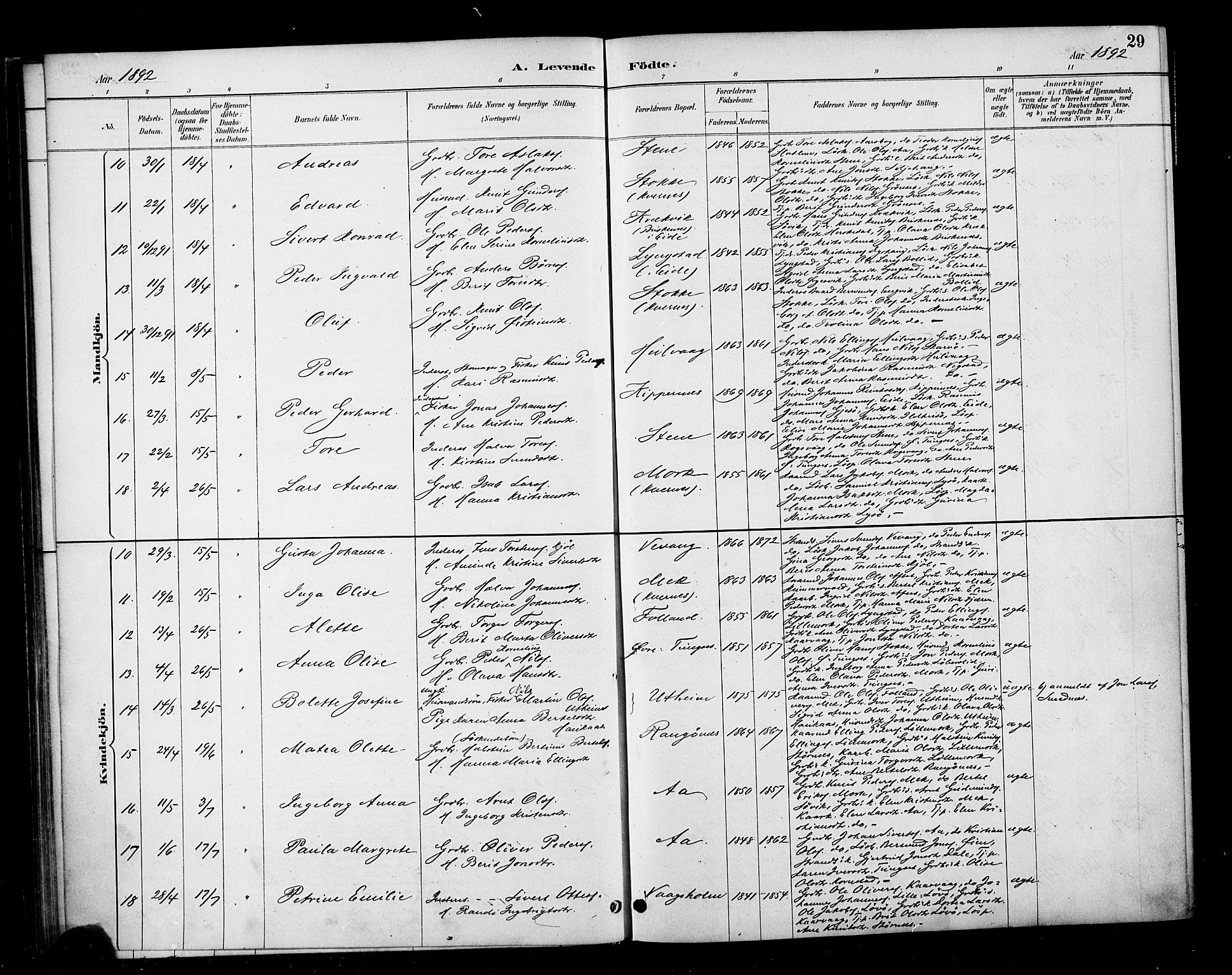 Ministerialprotokoller, klokkerbøker og fødselsregistre - Møre og Romsdal, AV/SAT-A-1454/570/L0832: Ministerialbok nr. 570A06, 1885-1900, s. 29