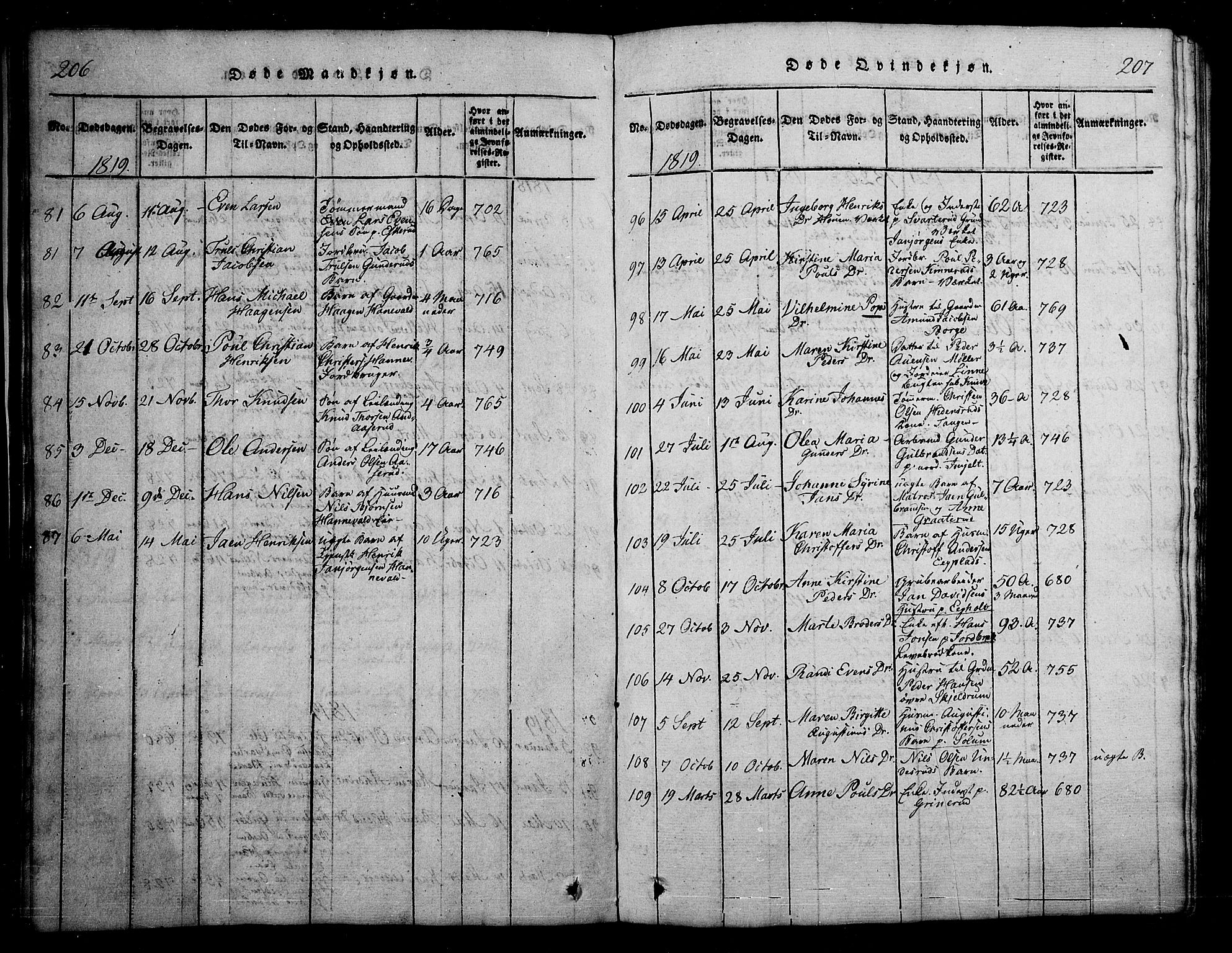 Skoger kirkebøker, SAKO/A-59/G/Ga/L0001: Klokkerbok nr. I 1, 1814-1845, s. 206-207