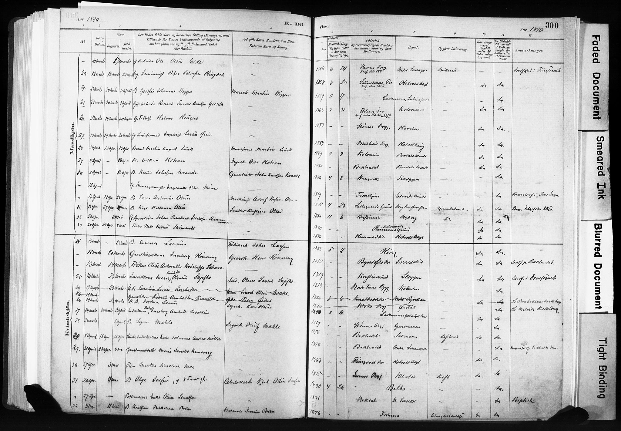 Ministerialprotokoller, klokkerbøker og fødselsregistre - Sør-Trøndelag, AV/SAT-A-1456/606/L0300: Ministerialbok nr. 606A15, 1886-1893, s. 300