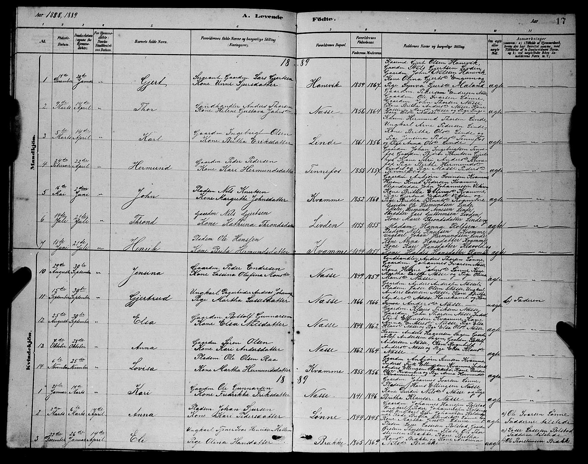 Balestrand sokneprestembete, SAB/A-79601/H/Hab/Habc/L0002: Klokkerbok nr. C 2, 1878-1895, s. 17