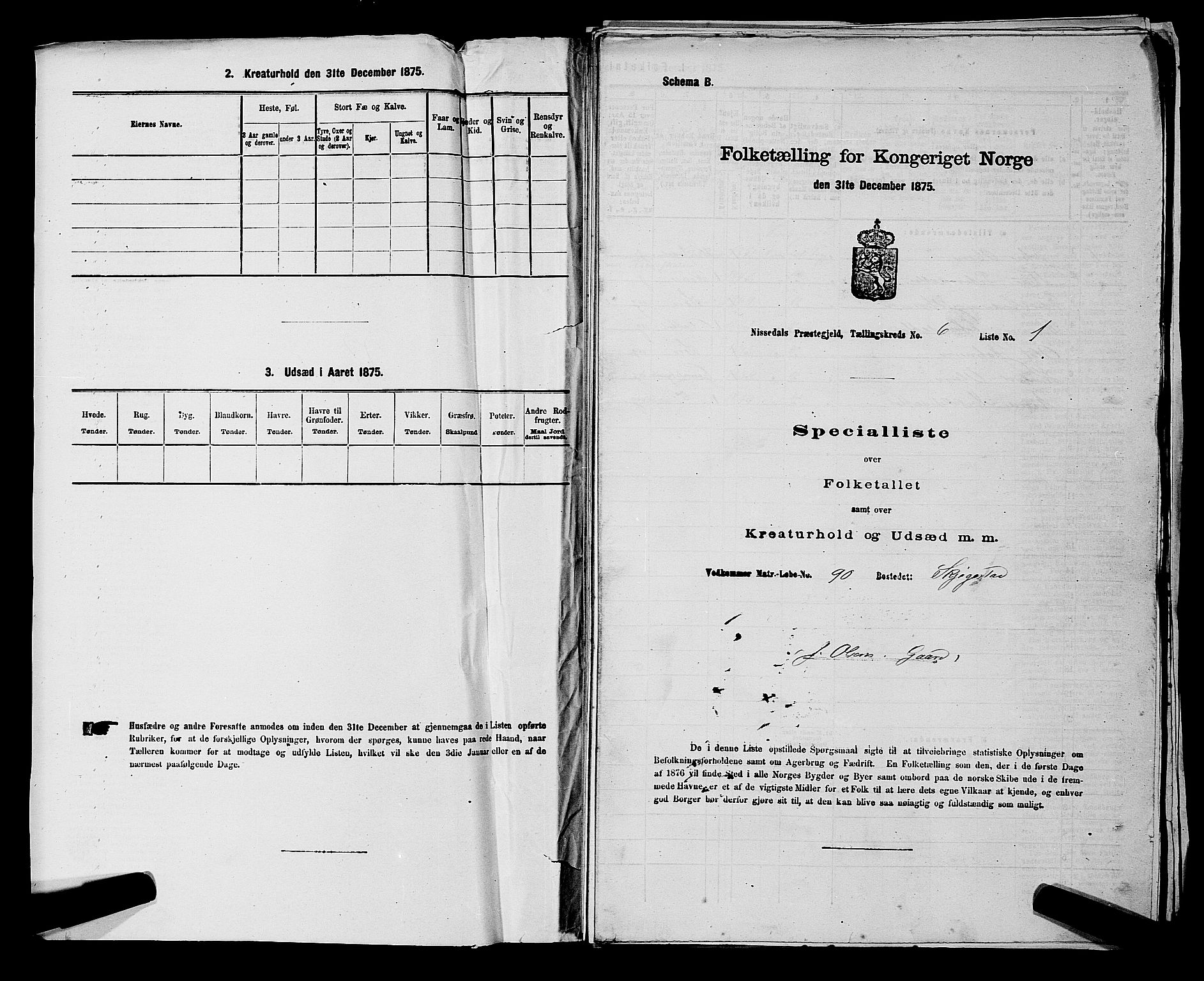 SAKO, Folketelling 1875 for 0830P Nissedal prestegjeld, 1875, s. 487