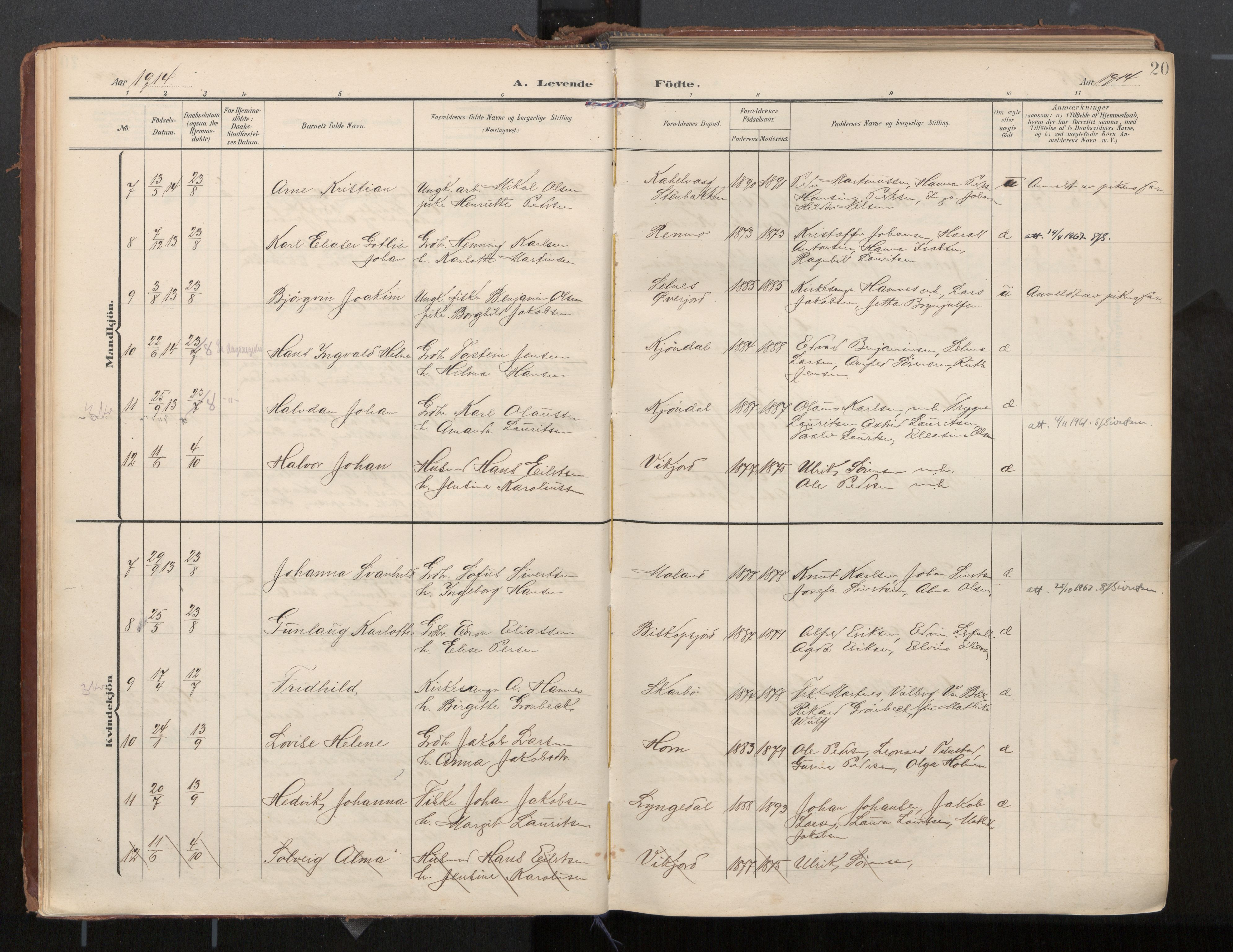 Ministerialprotokoller, klokkerbøker og fødselsregistre - Nordland, AV/SAT-A-1459/884/L1194: Ministerialbok nr. 884A02, 1906-1937, s. 20