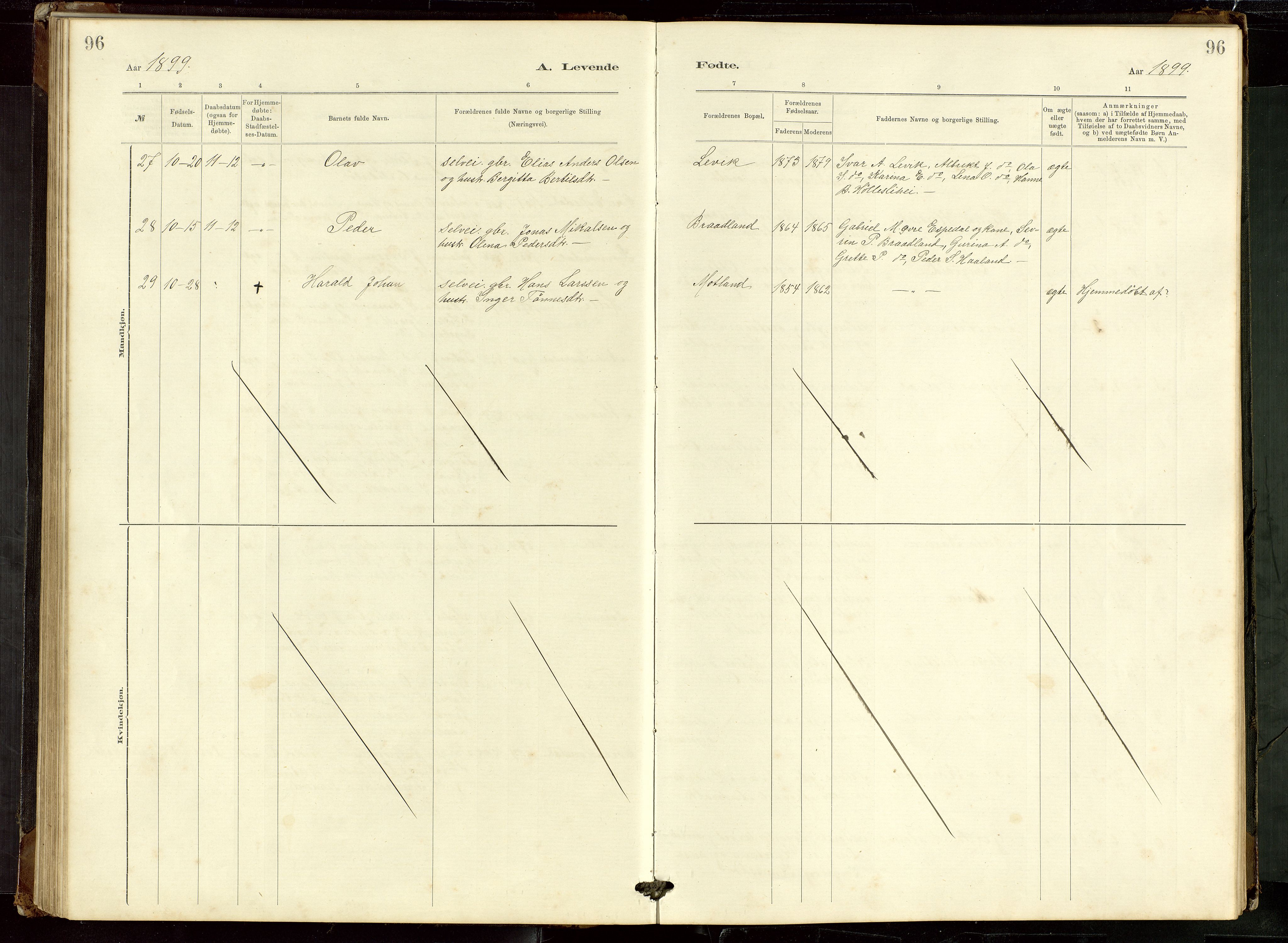 Høgsfjord sokneprestkontor, AV/SAST-A-101624/H/Ha/Hab/L0009: Klokkerbok nr. B 9, 1883-1920, s. 96