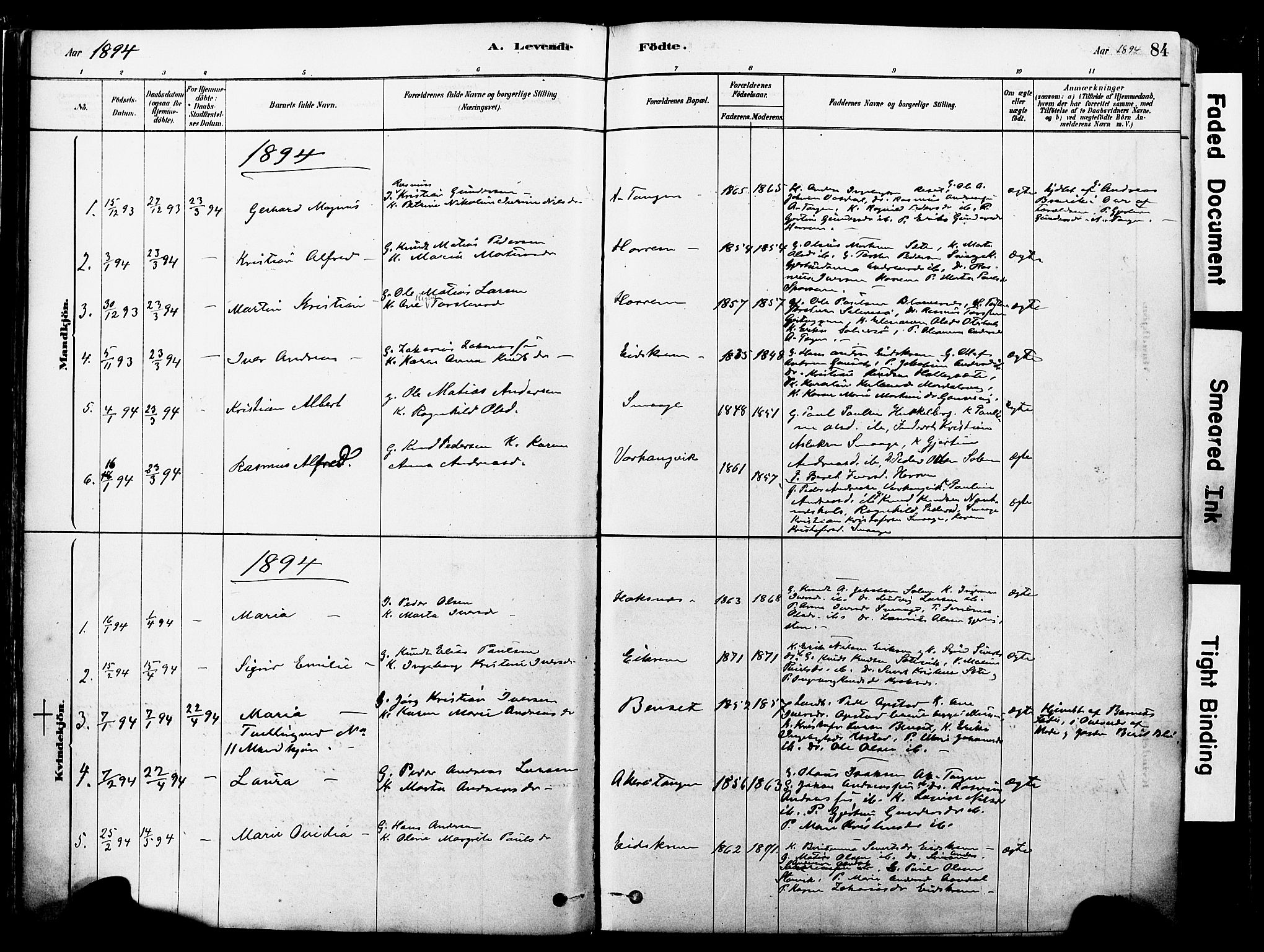Ministerialprotokoller, klokkerbøker og fødselsregistre - Møre og Romsdal, AV/SAT-A-1454/560/L0721: Ministerialbok nr. 560A05, 1878-1917, s. 84