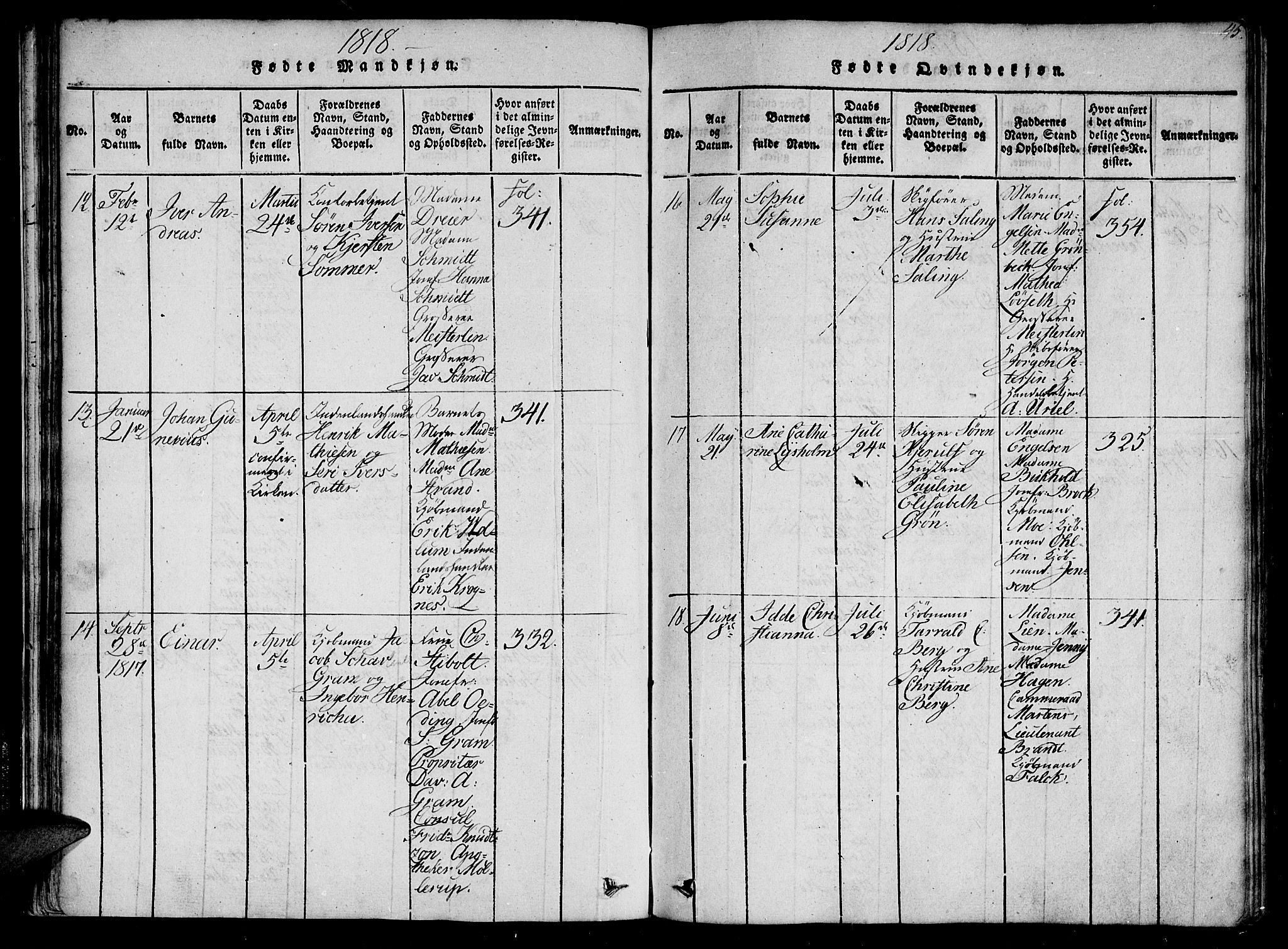 Ministerialprotokoller, klokkerbøker og fødselsregistre - Sør-Trøndelag, SAT/A-1456/602/L0107: Ministerialbok nr. 602A05, 1815-1821, s. 45